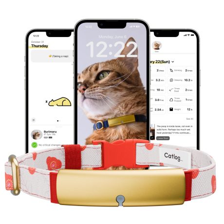 جهاز تتبع صحة القطط من كاتلوغ - طوق ذكي للقطط مع مشبك امان قابل للفصل للقطط الداخلية، تنبيهات صحية، مراقبة فورية (كيمونو (اومي)، S)