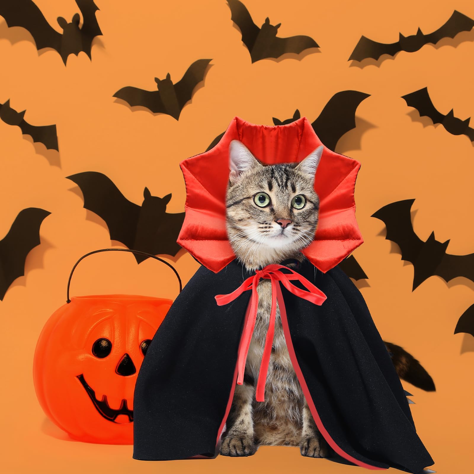 زي تنكري للحيوانات الاليفة للهالوين، عباءة مصاص دماء للقطط والكلاب، اكسسوارات ملابس تنكرية الساحرة، لوازم حفلات الهالوين للحيوانات الاليفة، مقاس M