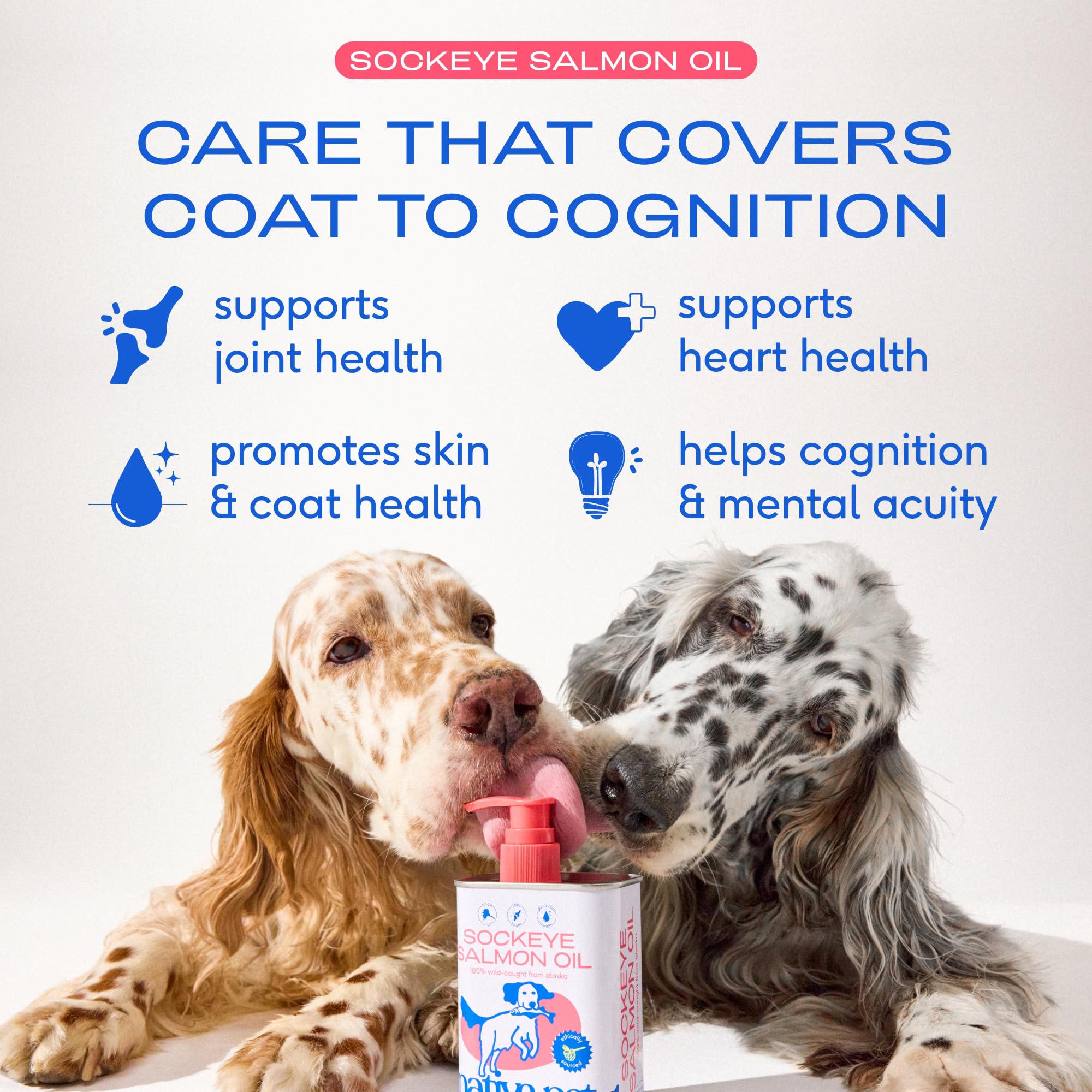 زيت سمك السالمون للكلاب والقطط نقي غني بأوميغا 3 لدعم صحة الجلد والفرو والمفاصل والقلب مضاد طبيعي للالتهابات للكلاب مصنوع من سلمون سوكي آلاسكي بري بنسبة 100% من ناتيف بيت، عبوة 236 مل