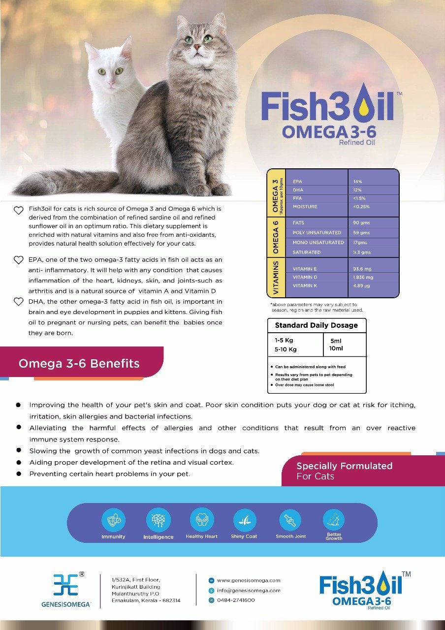 زيت فيش 3 اويل 3-6 للقطط من جينيسيسوميغا - مناعة ومعطف لامع، معزز للنمو الافضل - مكمل غذائي بالفيتامينات ومضادات الأكسدة