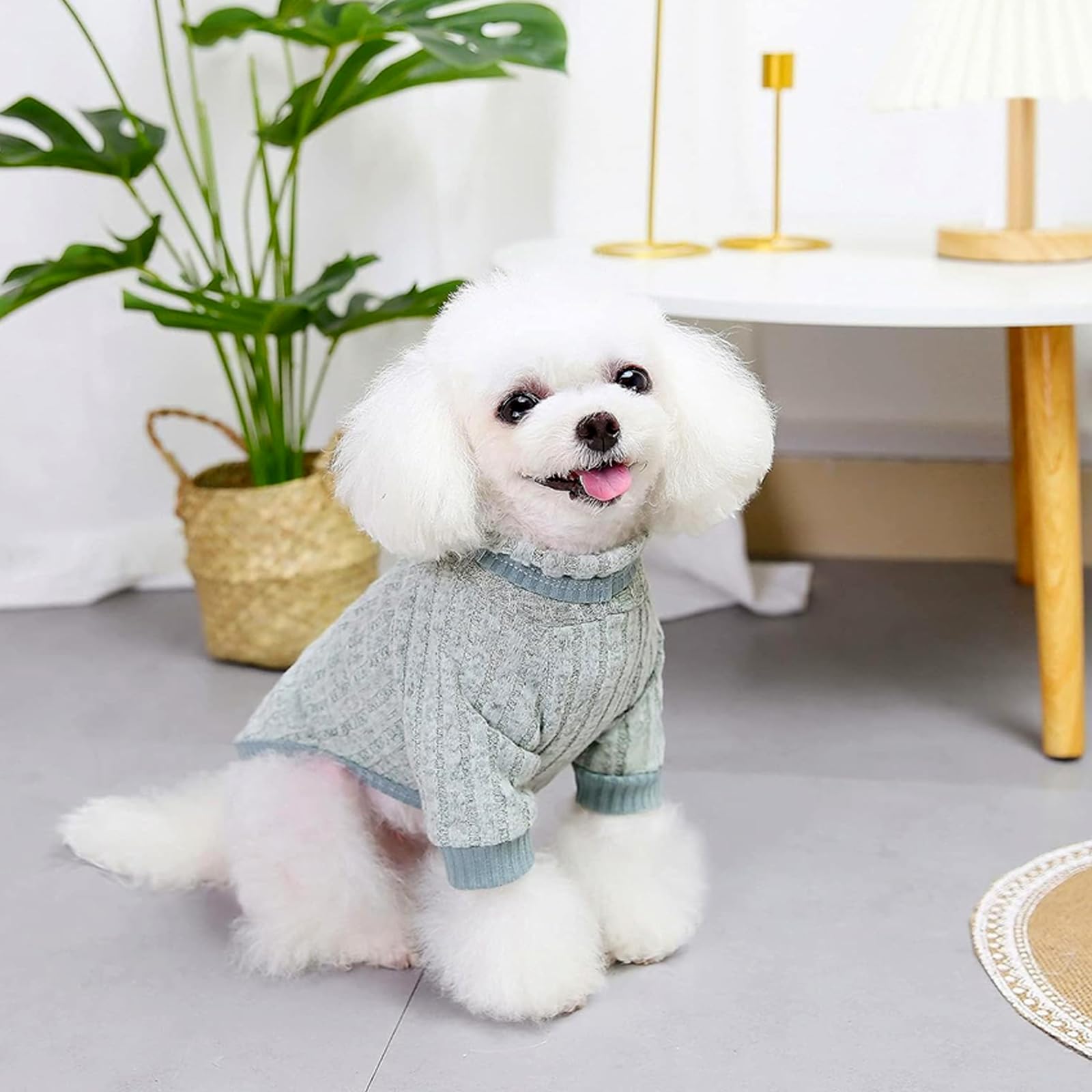 سويتر للكلاب من لياروميس، بلوفر دافئ ومريح بقبة مدورة، ملابس شتوية سميكة للحيوانات الاليفة، ناعمة ومريحة، بيجامة مثالية للكلاب الصغيرة والاولاد والبنات، مثالية للطقس البارد (اخضر، S)