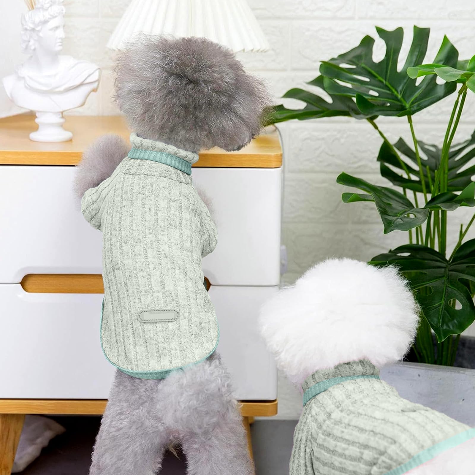 سويتر للكلاب من لياروميس، بلوفر دافئ ومريح بقبة مدورة، ملابس شتوية سميكة للحيوانات الاليفة، ناعمة ومريحة، بيجامة مثالية للكلاب الصغيرة والاولاد والبنات، مثالية للطقس البارد (اخضر، S)