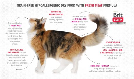 طعام خالي من الحبوب للتحكم في الوزن للقطط المعقمة برايت كير بنكهة البط والديك الرومي 2 كجم بريت بالغ