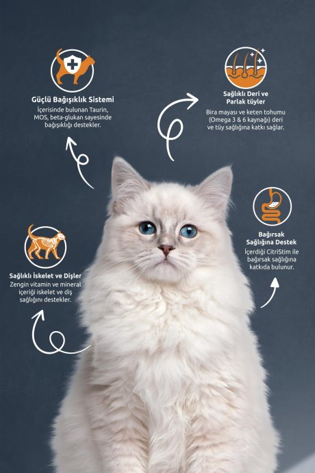 طعام للقطط البالغة جورميه بالدجاج والأرز من ريفليكس، 15 كجم