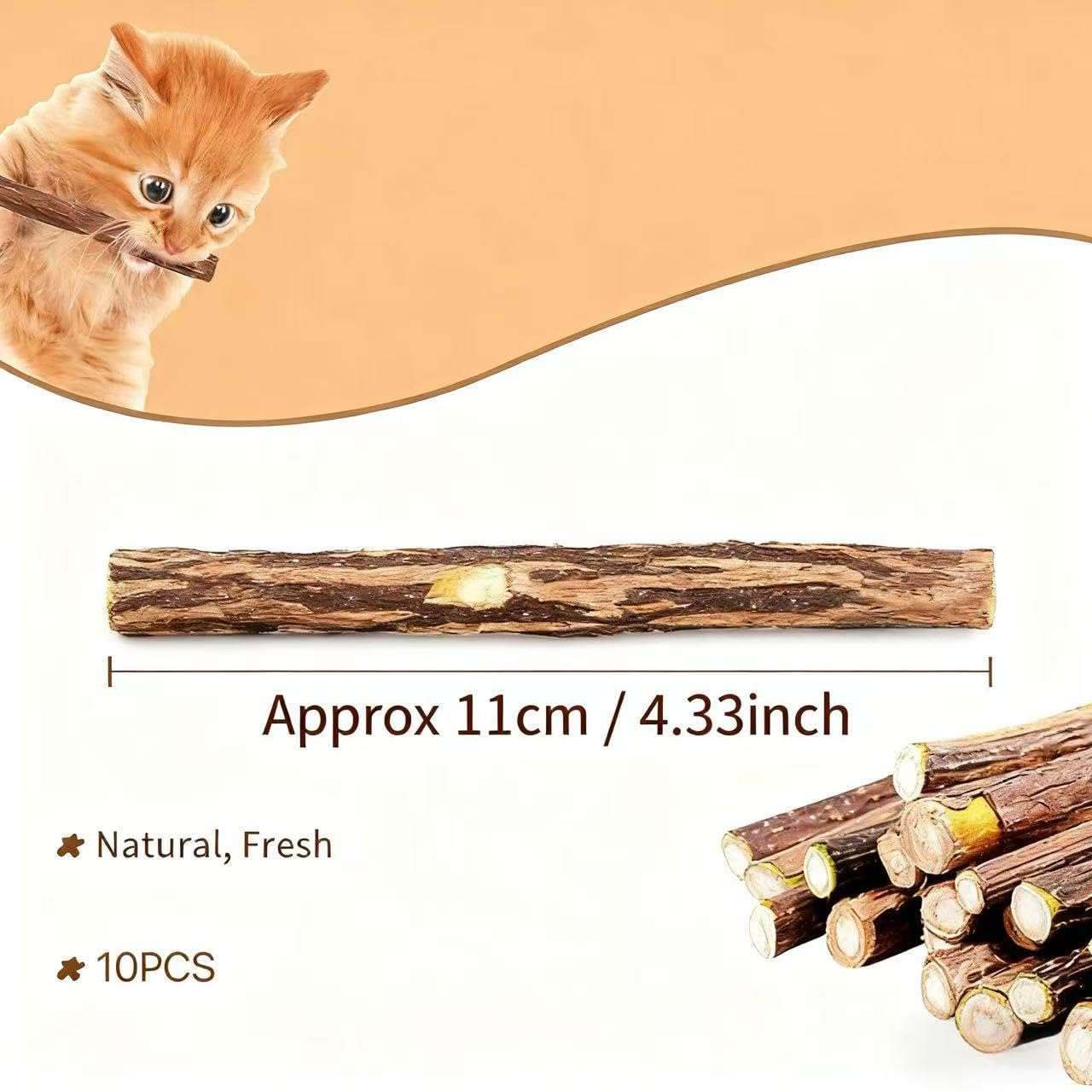 عصا مضغ من الخشب الطبيعي والنعناع البري للأسنان القطط، لعبة مضغ للعناية بالأسنان والترفيه للقطط من سكاي تاتش، 10 قطع