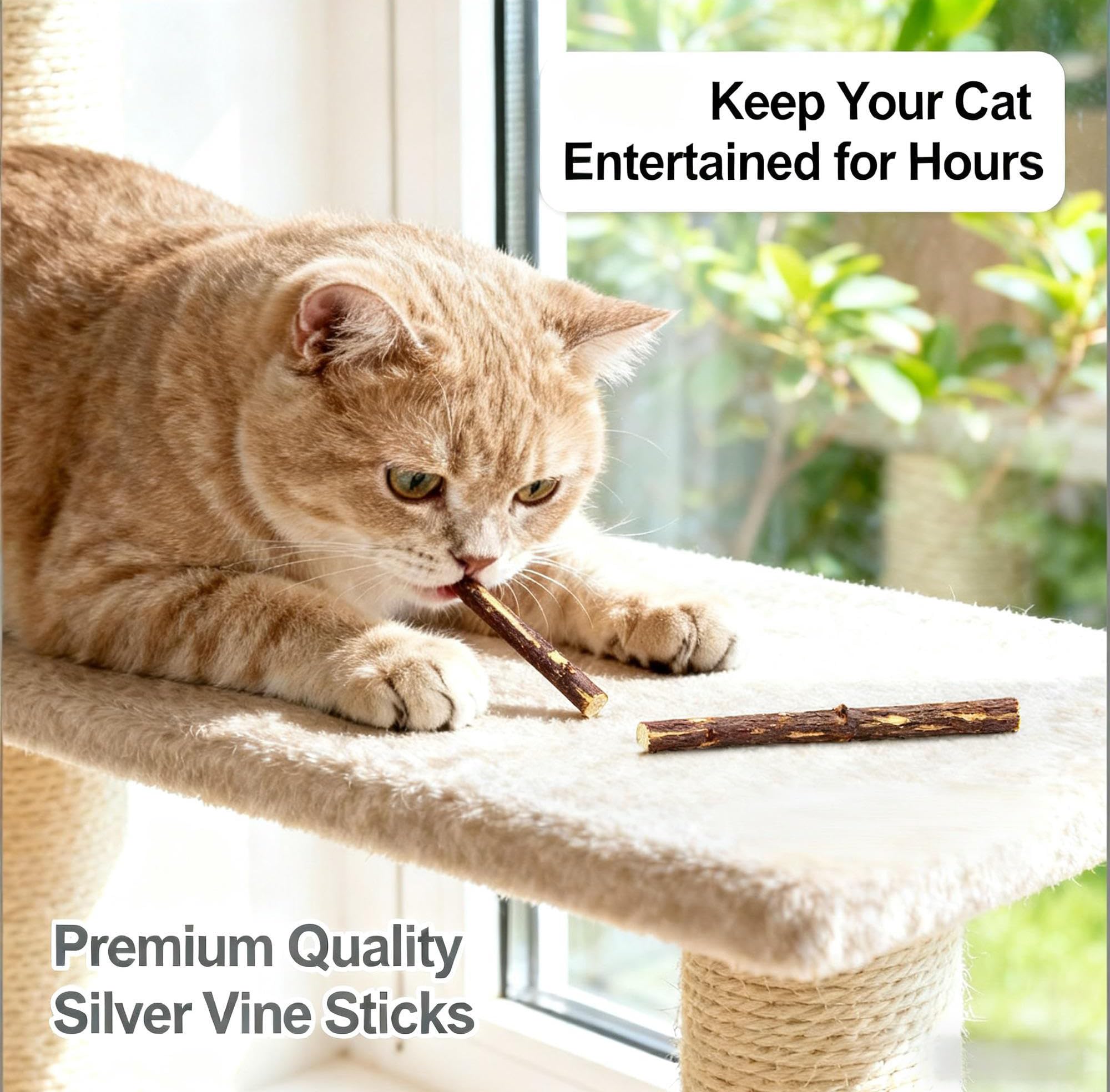 عصا مضغ من الخشب الطبيعي والنعناع البري للأسنان القطط، لعبة مضغ للعناية بالأسنان والترفيه للقطط من سكاي تاتش، 10 قطع