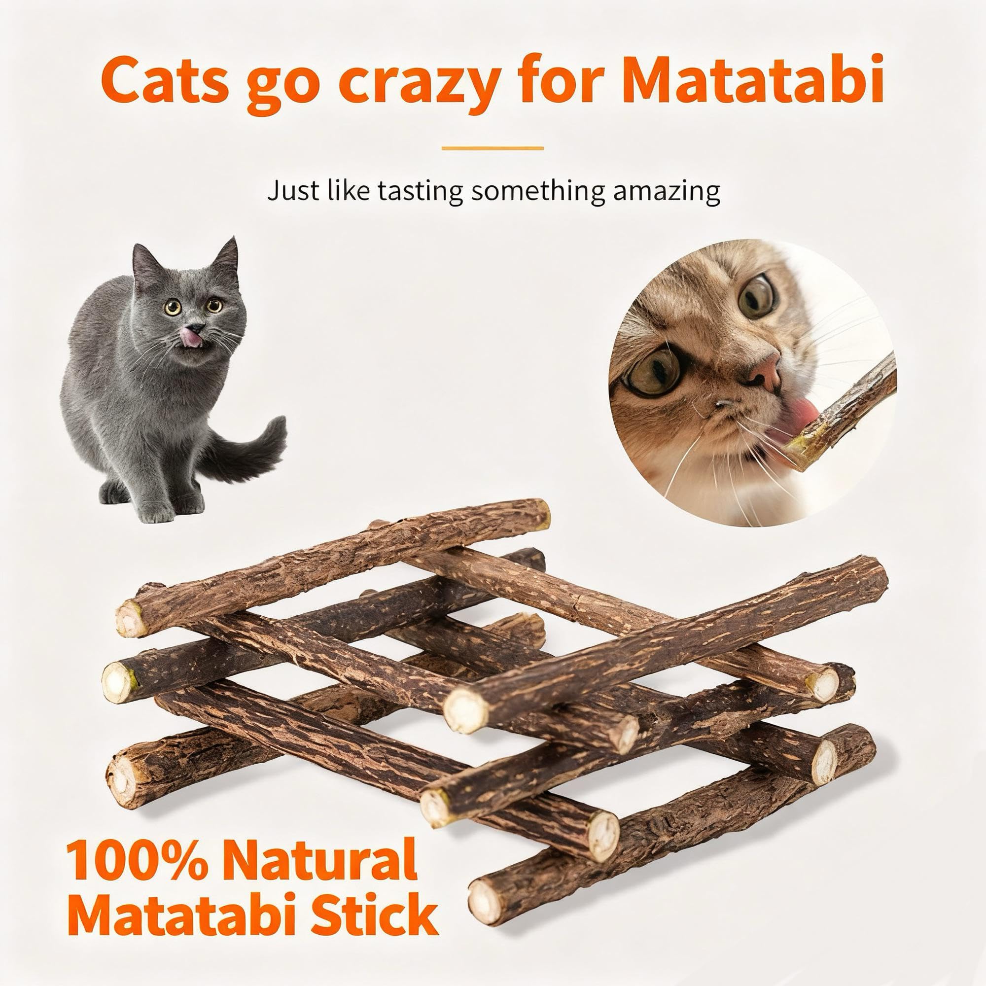 عصا مضغ من الخشب الطبيعي والنعناع البري للأسنان القطط، لعبة مضغ للعناية بالأسنان والترفيه للقطط من سكاي تاتش، 10 قطع