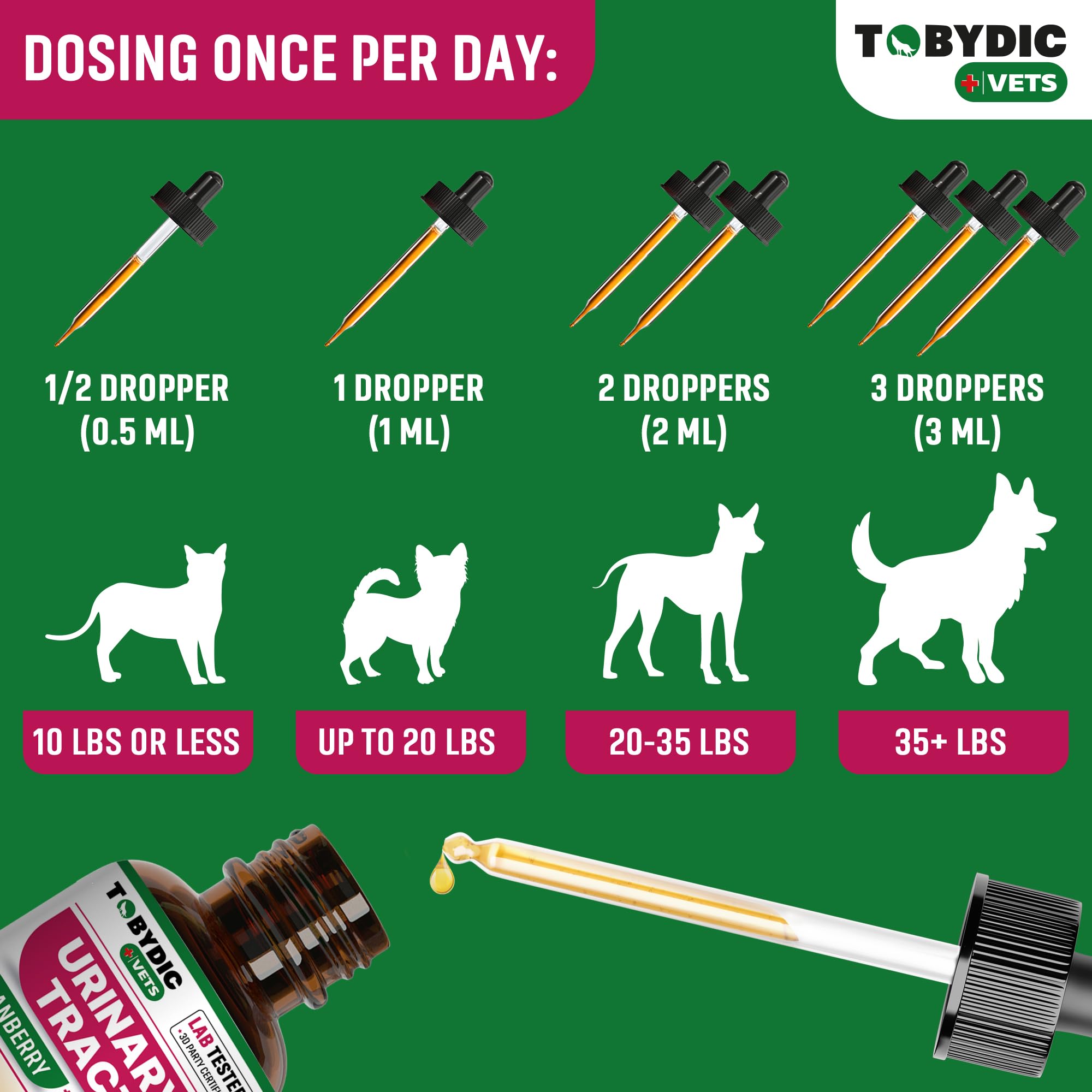 علاج عدوى المسالك البولية الطبيعية من كات اند دوج مع التوت البري - مكمل دعم الكلى والمثانة - افضل وقاية لسلس البول وحصى المثانة - صحة كلى الحيوانات الاليفة