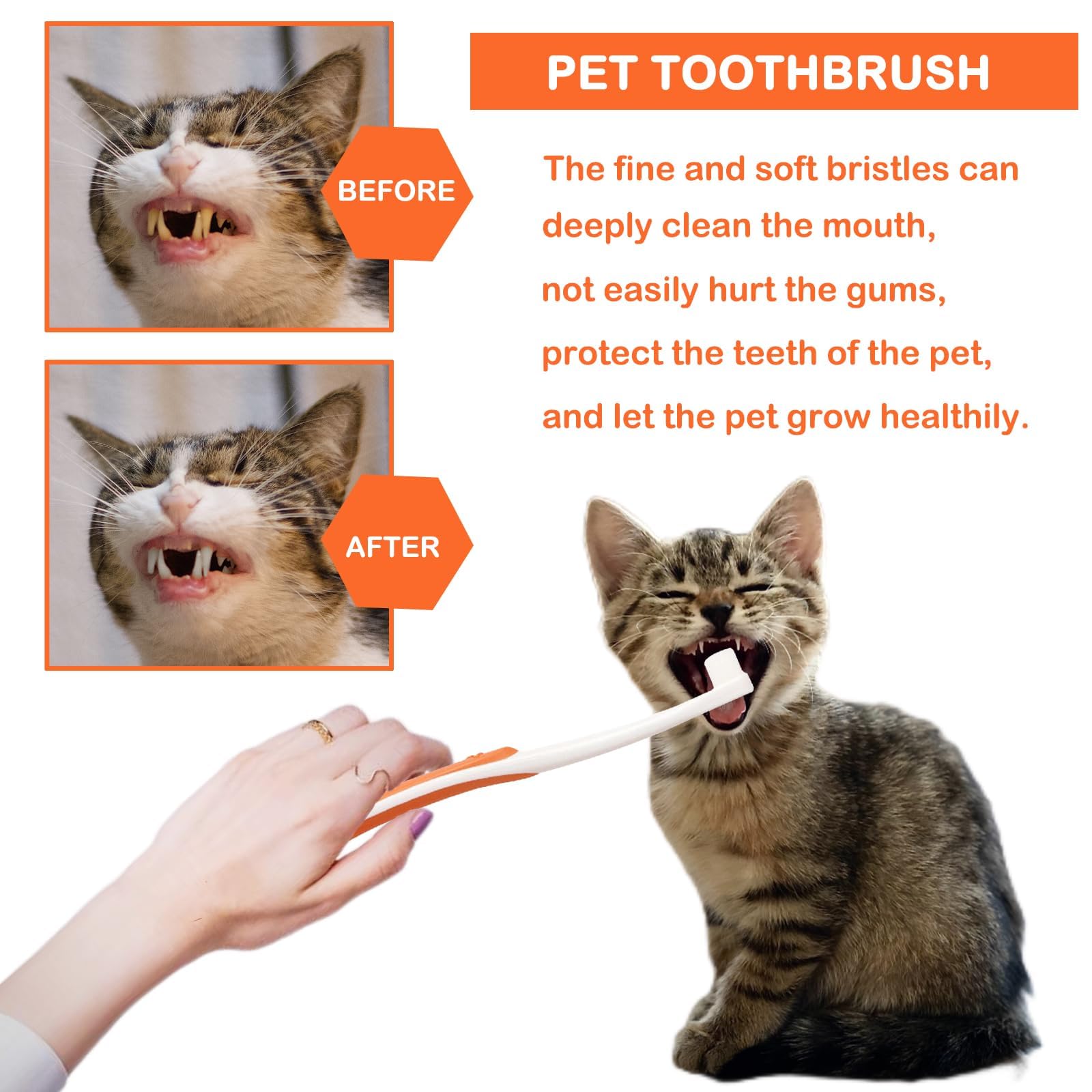 فرشاة اسنان ومعجون اسنان للكلاب، فرشاة اسنان للكلاب، فرشاة اسنان للقطط والكلاب، فرشاة اسنان ومعجون اسنان، منظف اسنان اصابع الجراء ينعش التنفس بمقبض طويل، فرشاة اسنان لازالة البلاك بنكهة اللحم البقري