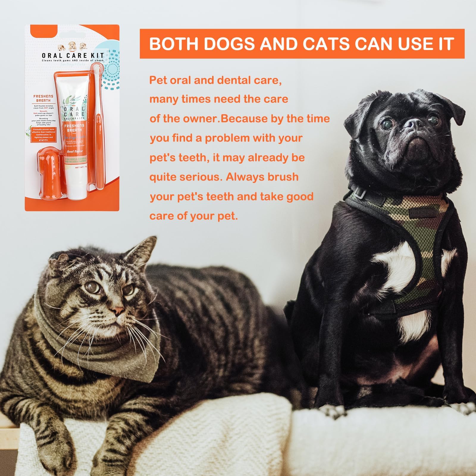 فرشاة اسنان ومعجون اسنان للكلاب، فرشاة اسنان للكلاب، فرشاة اسنان للقطط والكلاب، فرشاة اسنان ومعجون اسنان، منظف اسنان اصابع الجراء ينعش التنفس بمقبض طويل، فرشاة اسنان لازالة البلاك بنكهة اللحم البقري