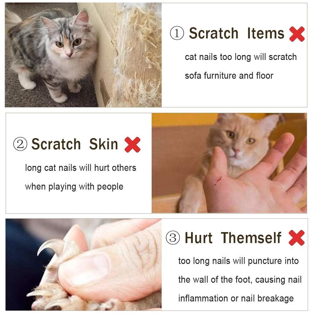 قصافة اظافر احترافية للحيوانات الاليفة الصغيرة، قصافة اظافر الكلاب والقطط، مقص اظافر مخلبي، شفرة حادة بزاوية حادة لتشذيب اظافر الحيوانات الاليفة للقطط والكلاب والقطط الصغيرة والجراء والارنب والطيور