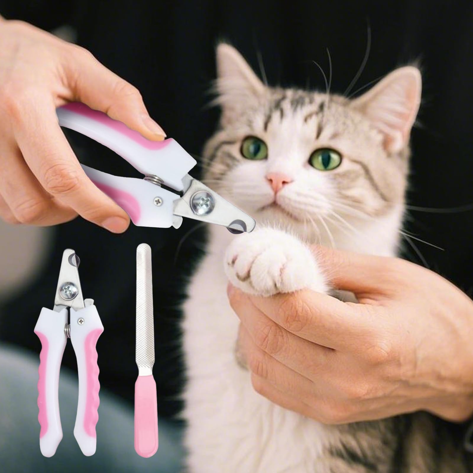 قصافة اظافر الحيوانات الاليفة من الستانلس ستيل للحيوانات الصغيرة - اداة تشذيب دقيقة للكلاب والقطط والارانب والخنازير الغينية والطيور