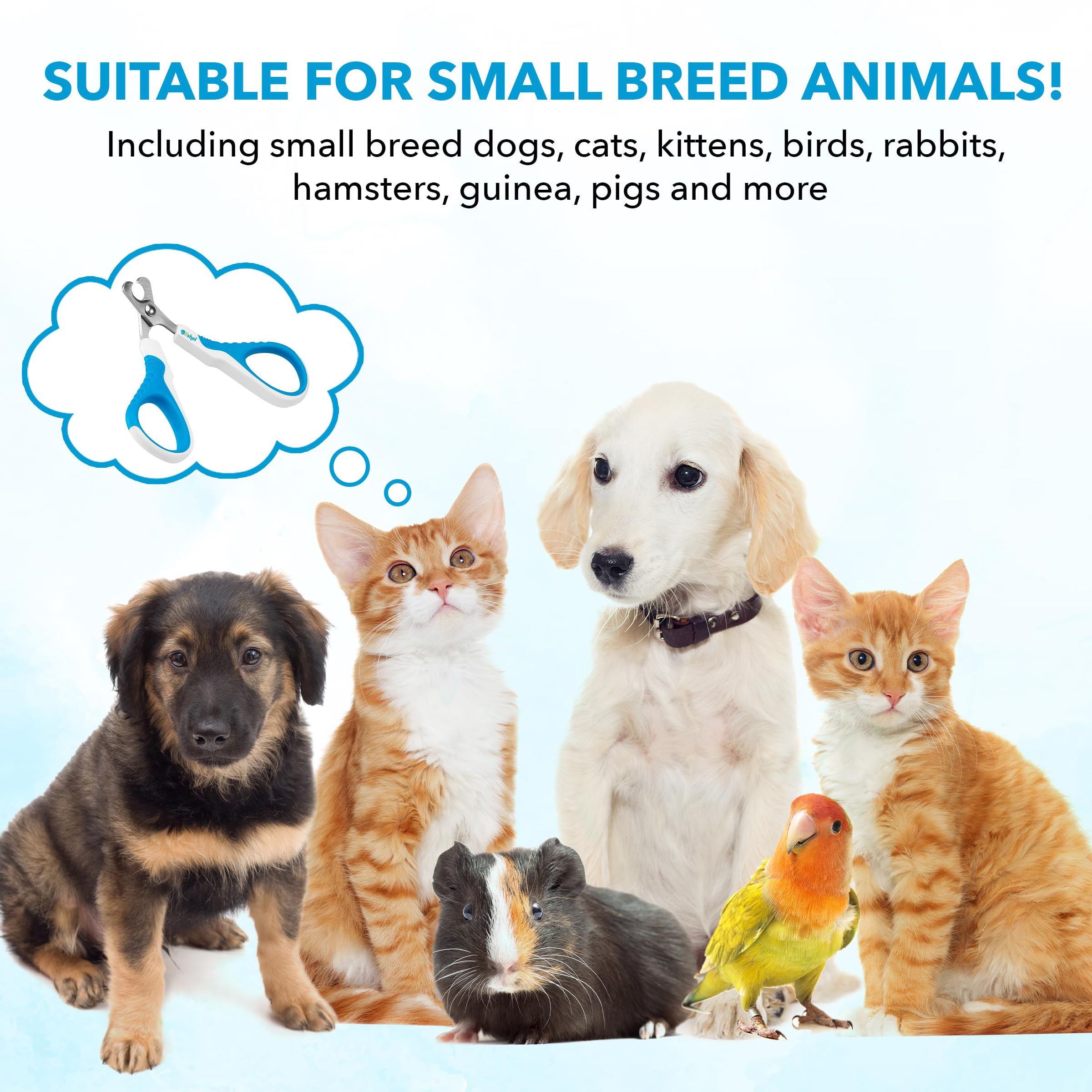 قصافة اظافر القطط من بوشيل - اداة تقليم اظافر القطط الاحترافية، شفرة حادة بزاوية امنة للحيوانات الاليفة - مقبض غير قابل للانزلاق - مقص اظافر للقطط والكلاب الصغيرة