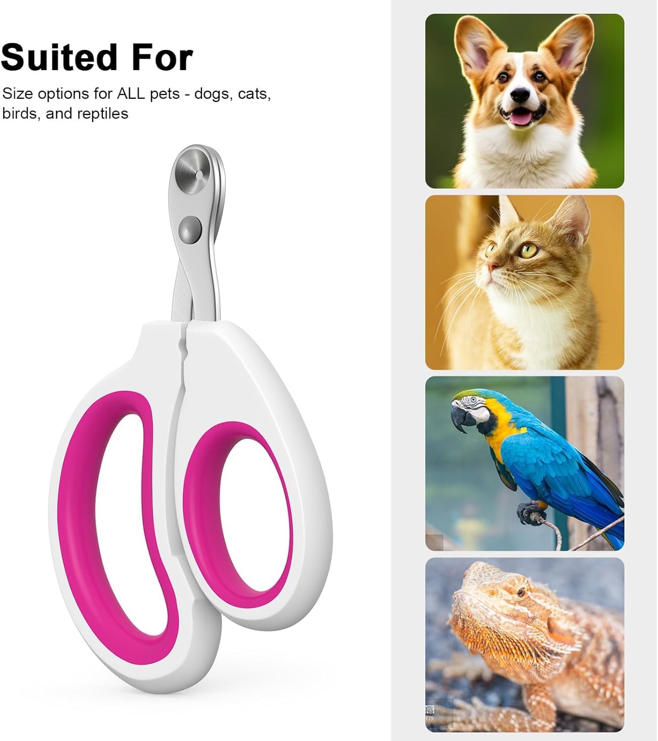 قصافة اظافر القطط مناسبة للحيوانات الصغيرة مثل القطط والطيور والهامستر والارانب والقنافذ والقوارض والشنشيلة والخنازير الغينية وغيرها (ازرق-ابيض)