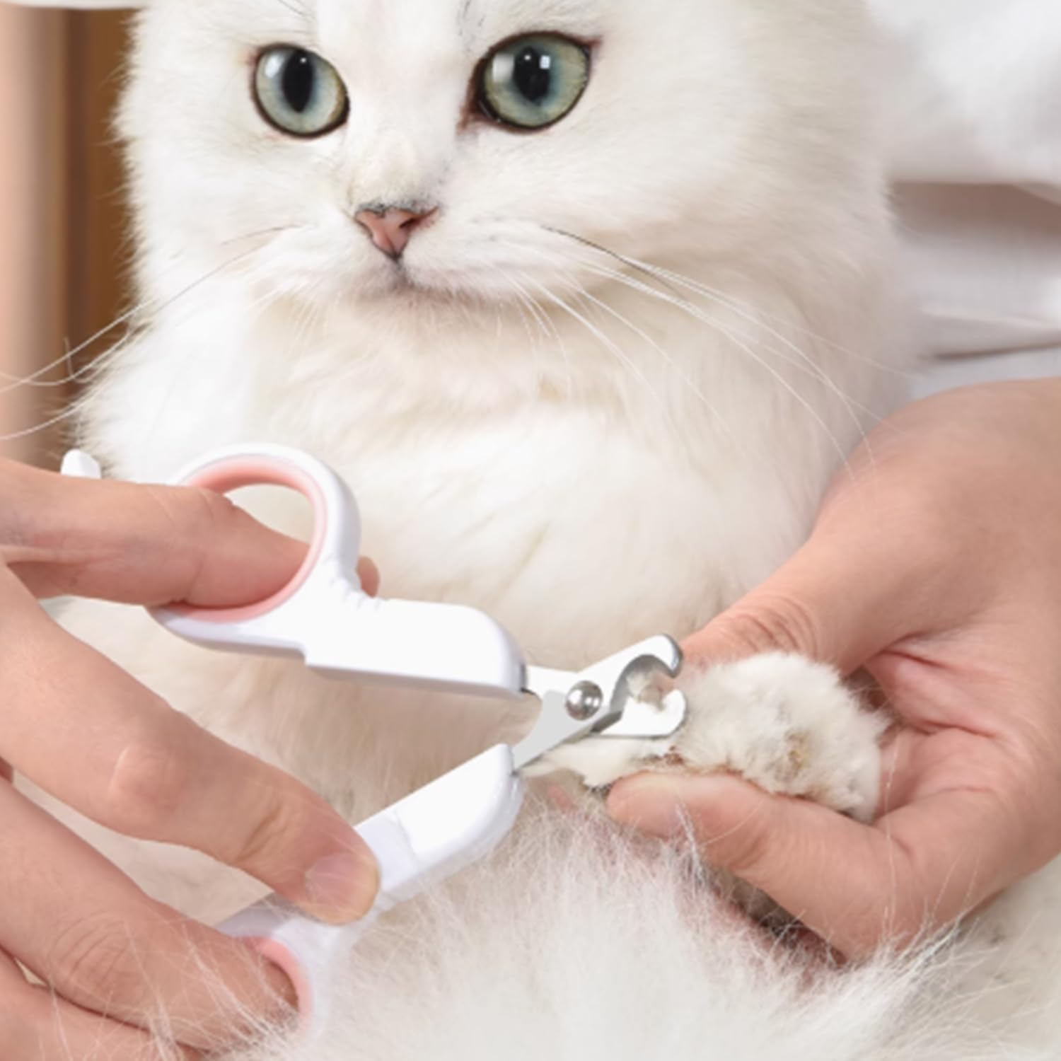 قصافة اظافر للقطط الصغيرة بلون بينك | مقص مخالب للحيوانات الاليفة للخنازير الغينية والطيور والجراء والقطط الصغيرة واليربوع والهامستر والارانب