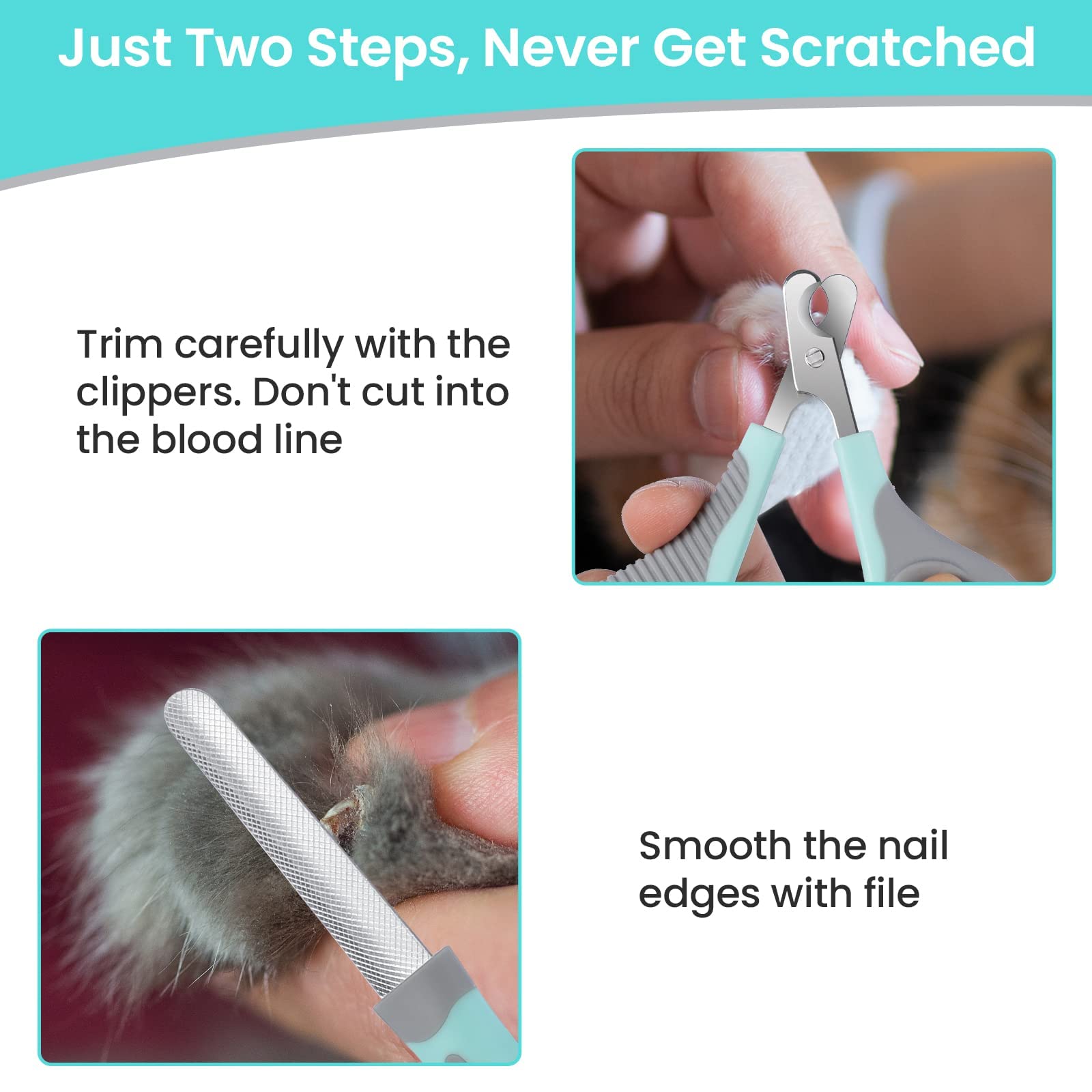 قصافة اظافر للقطط مقص احترافي من الستانلس ستيل مع مبرد مخالب القطط الحيوانات الاليفة والقطط الصغيرة والهامستر والارانب والطيور والحيوانات مايكينج تيك