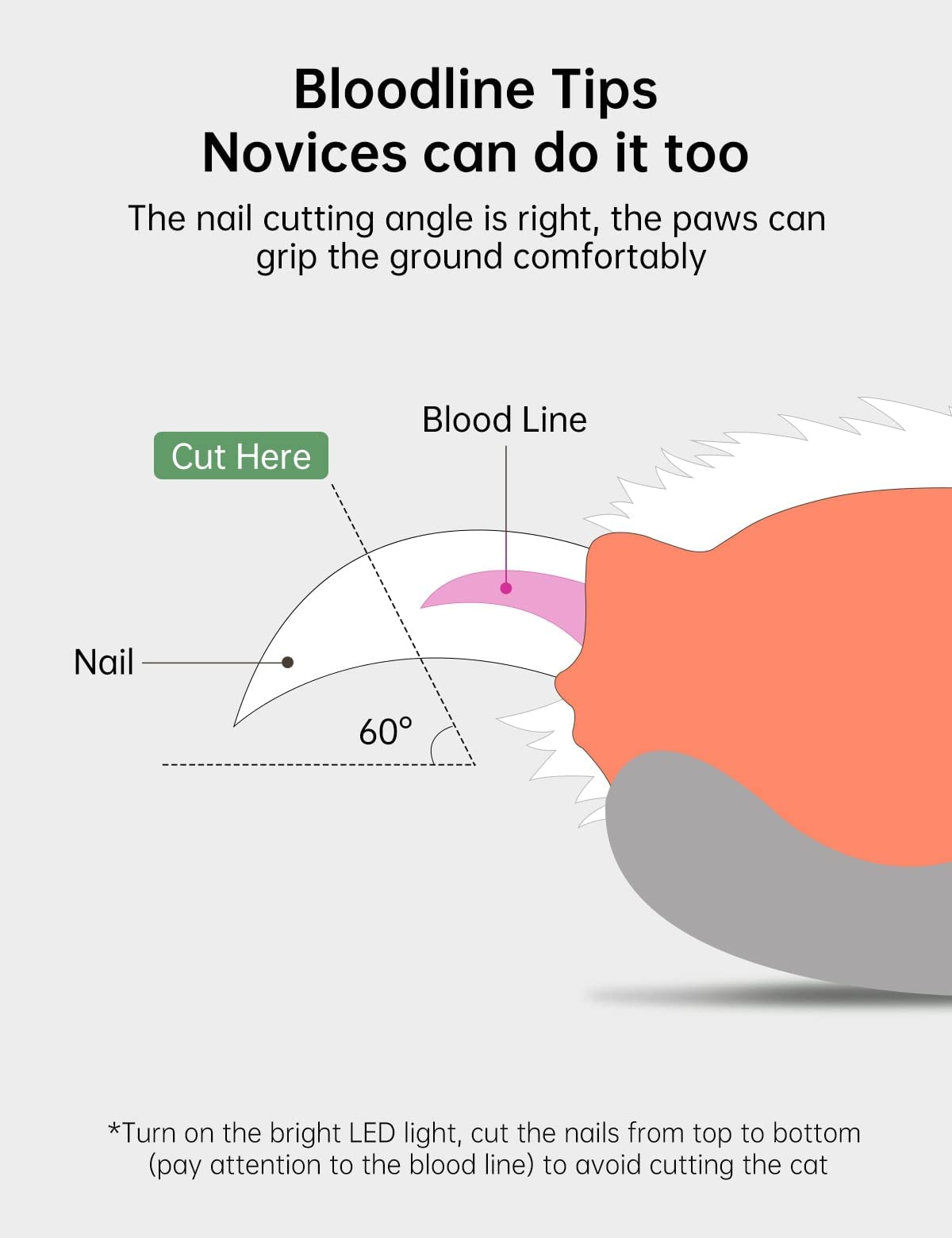 قصافة اظافر للكلاب والقطط والحيوانات الاليفة، قصافة اظافر للحيوانات الاليفة مع اضاءة LED فائقة السطوع بسرعتين لمنع القص الزائد مع مبرد اظافر مخفي، من اكسيفور