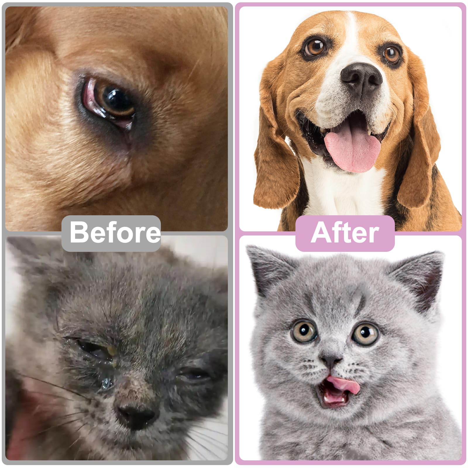 قطرات عين للحيوانات الأليفة للكلاب والقطط لتهدئة تهيج العينين وحساسية العدوى وتخفيف جفاف عيون الكلاب والقطط والعيون الحمراء، منظف بقع دموع الحيوانات الأليفة، تركيبة آمنة ولطيفة لجميع الحيوانات، 1 لتر