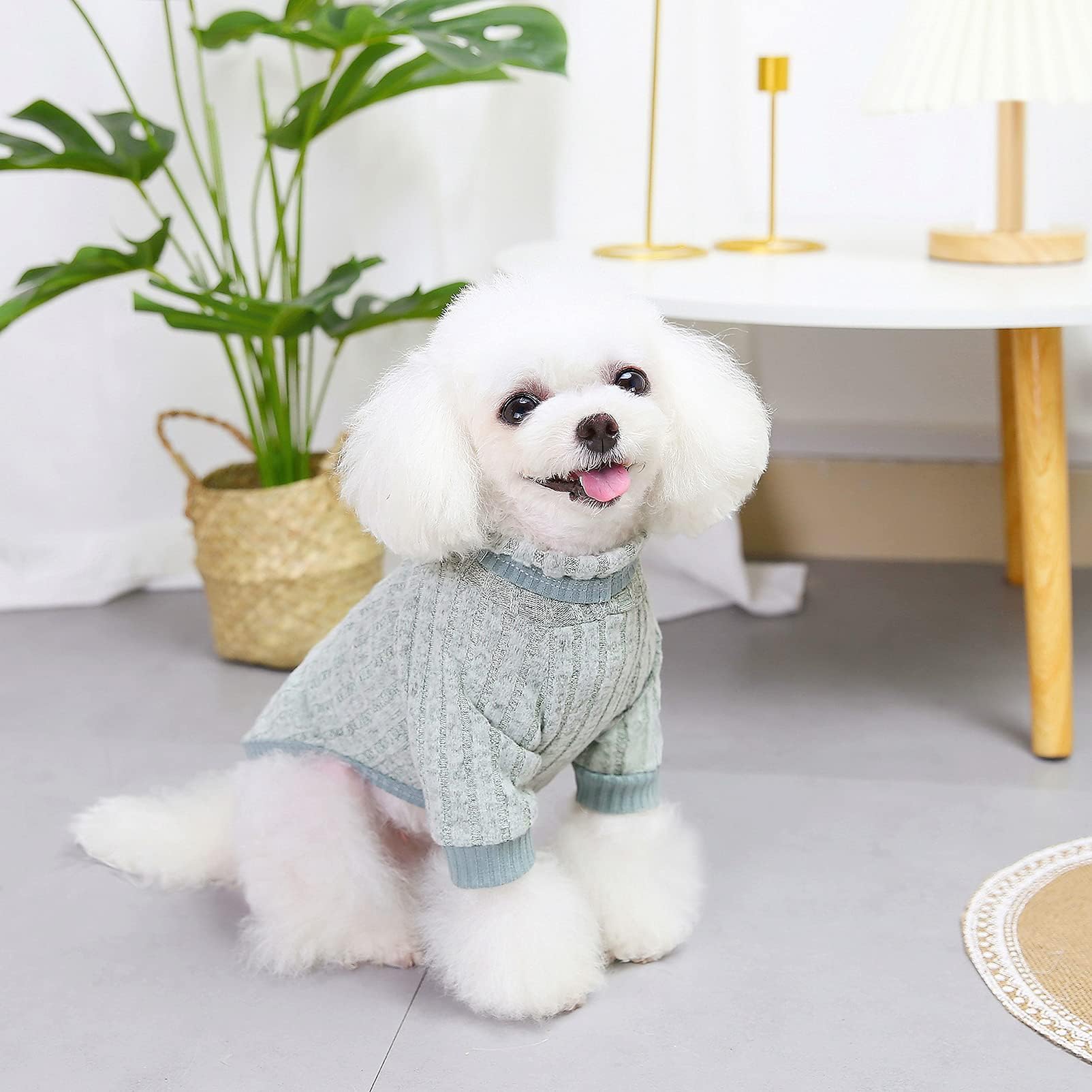 كاستويف كنزة صوفية للحيوانات الاليفة بقبة مدورة وسميكة ودافئة وناعمة ومريحة للخريف والشتاء، بيجامة للكلاب الصغيرة للاولاد والبنات، لون اخضر