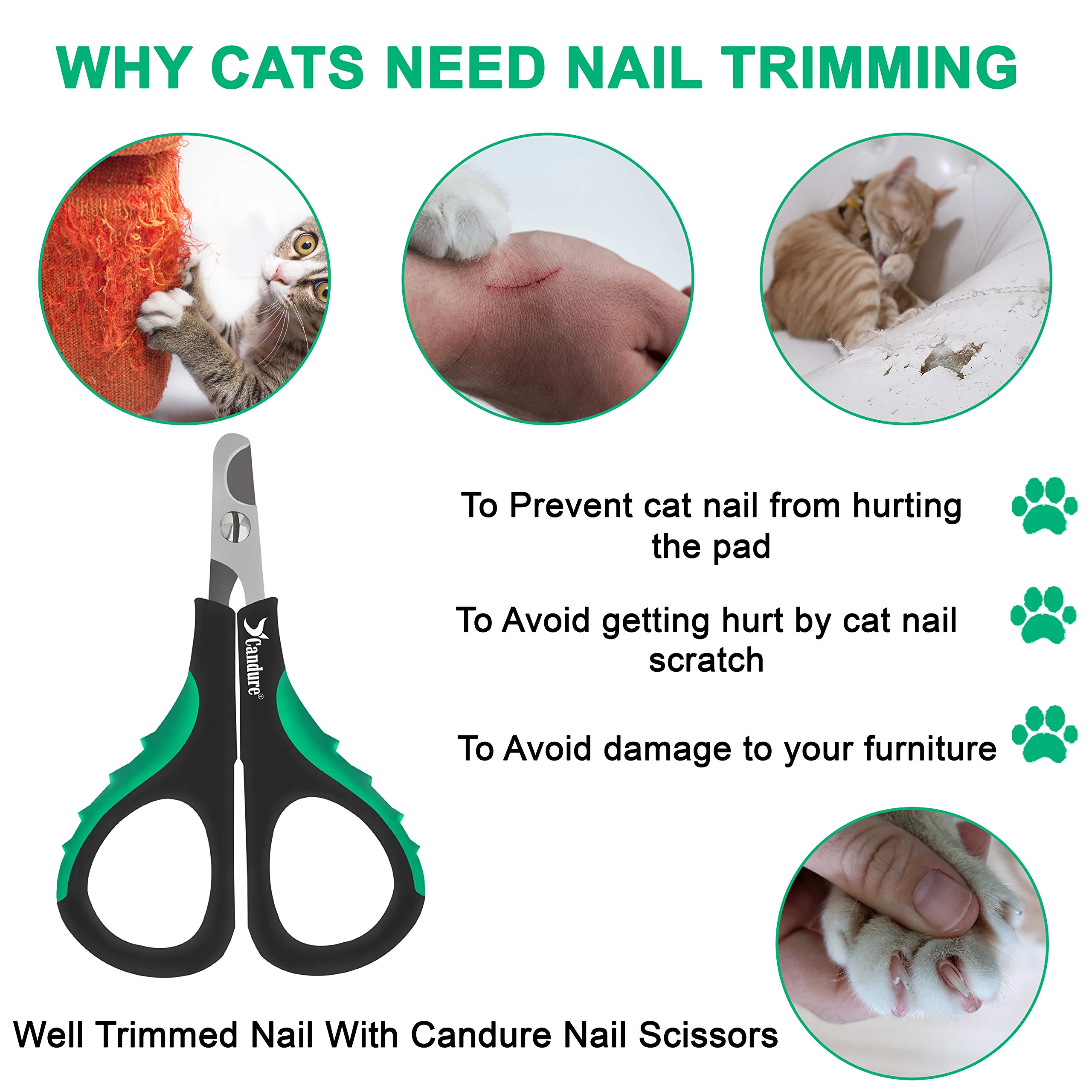 كانديور قصافة اظافر للقطط من الستانلس ستيل للارانب والخنازير الغينية والطيور والجراء والقطط الصغيرة والحيوانات الصغيرة - قصافة اظافر الحيوانات الاليفة للاستخدام الاحترافي والمنزلي 3.5 انش (اخضر)