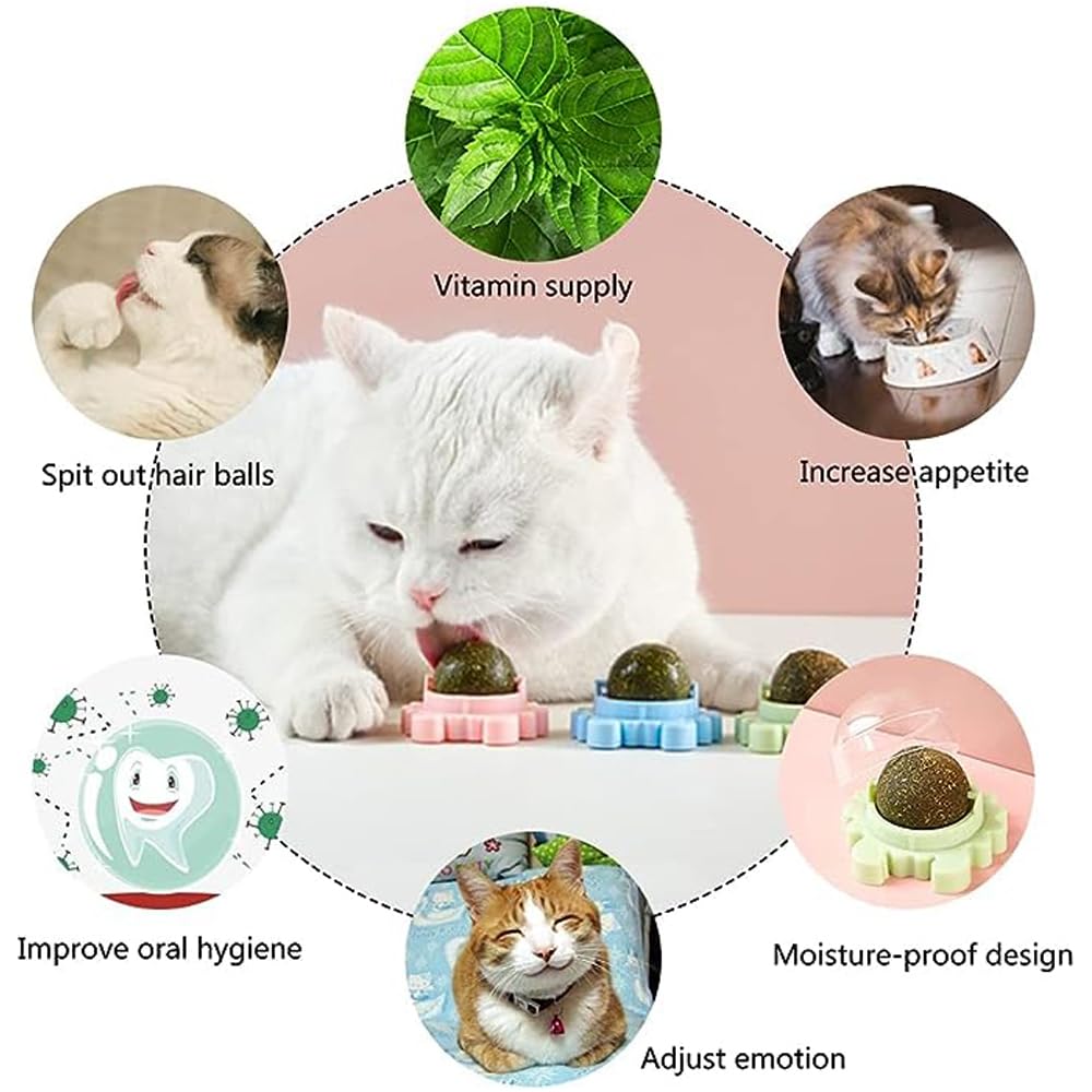 كرات النعناع البري الحقيقية من الكدون، مجموعة من 3 كرات قابلة للأكل واللعق مناسبة للقطط، قابلة للدوران ولتزيين الحائط