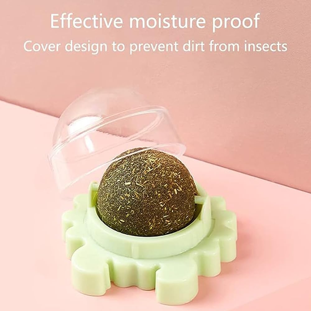 كرات النعناع البري الحقيقية من الكدون، مجموعة من 3 كرات قابلة للأكل واللعق مناسبة للقطط، قابلة للدوران ولتزيين الحائط