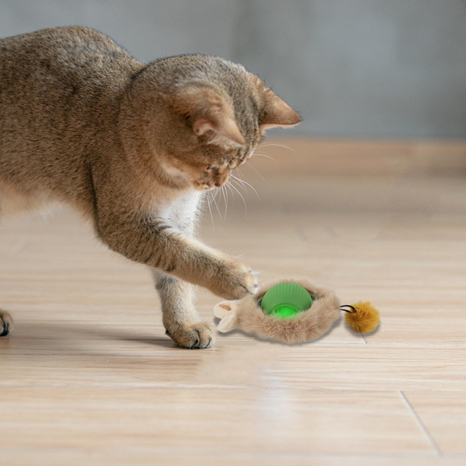 كرات لعبة تفاعلية للقطط في الاماكن المغلقة من كويوكار، كرة سريعة التدحرج على السجاد، العاب قطط اوتوماتيكية تفاعلية ذكية للهدايا في الاماكن المغلقة والمفتوحة، لعبة كلاب متحركة - نمط قطيفة