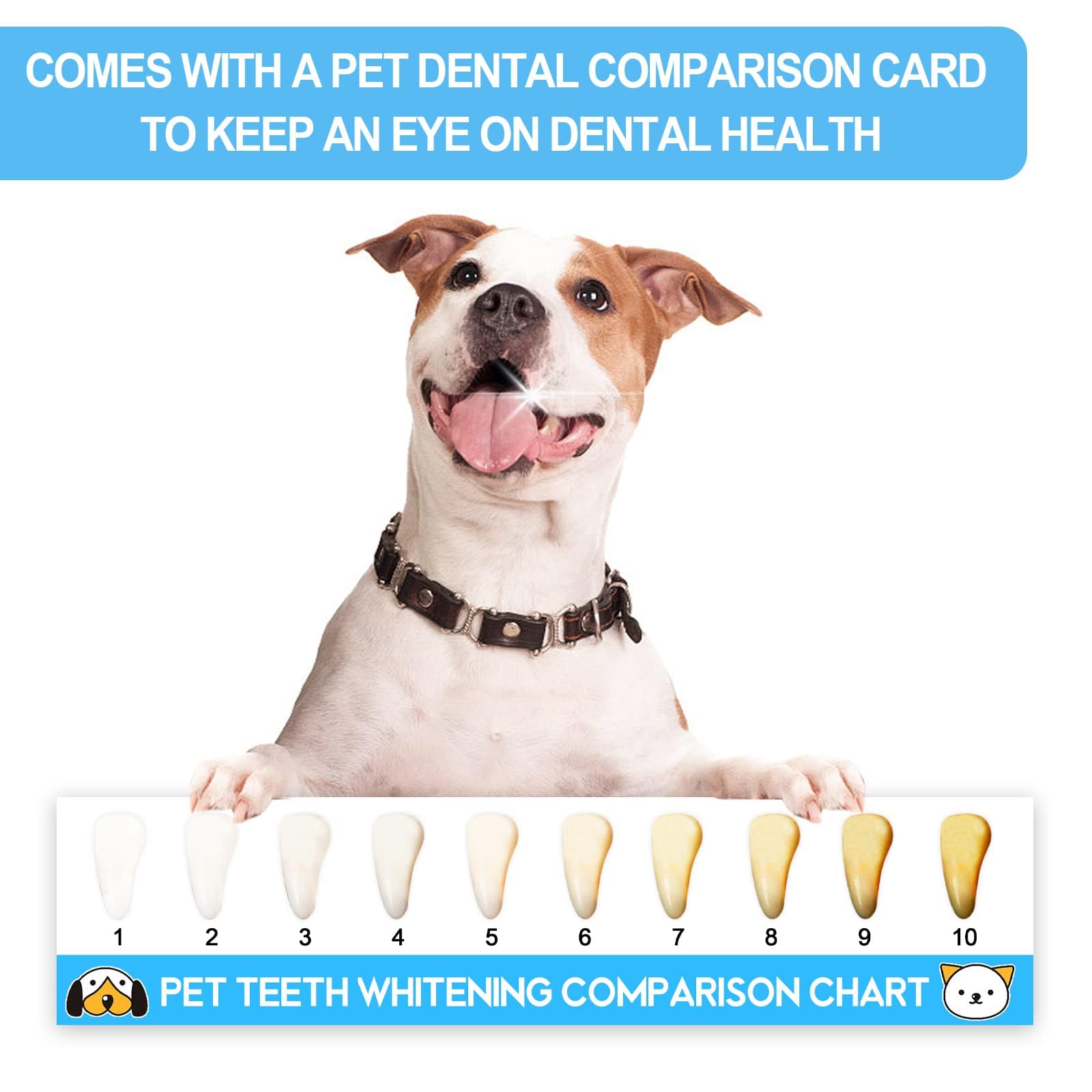 مجموعة فرشاة اسنان للكلاب شعيرات ناعمة عناية شاملة باسنان جميع الحيوانات الاليفة تصميم متعدد الوظائف لنظافة الفم الفعالة لصحة القطط والكلاب من اكسيفور ابيض يدوي