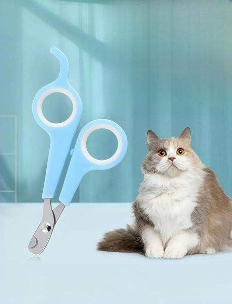 مقص اظافر للحيوانات الاليفة من قطعة واحدة، مقص للعناية بمخالب الكلاب والقطط، من الستانلس ستيل - للحيوانات الاليفة الصغيرة والمتوسطة، اسود واحمر