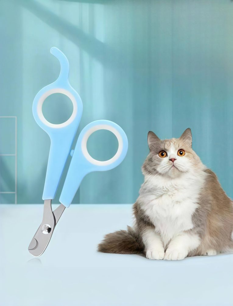 مقص اظافر للحيوانات الاليفة من قطعة واحدة، مقص للعناية بمخالب الكلاب والقطط، من الستانلس ستيل - للحيوانات الاليفة الصغيرة والمتوسطة، اسود واحمر