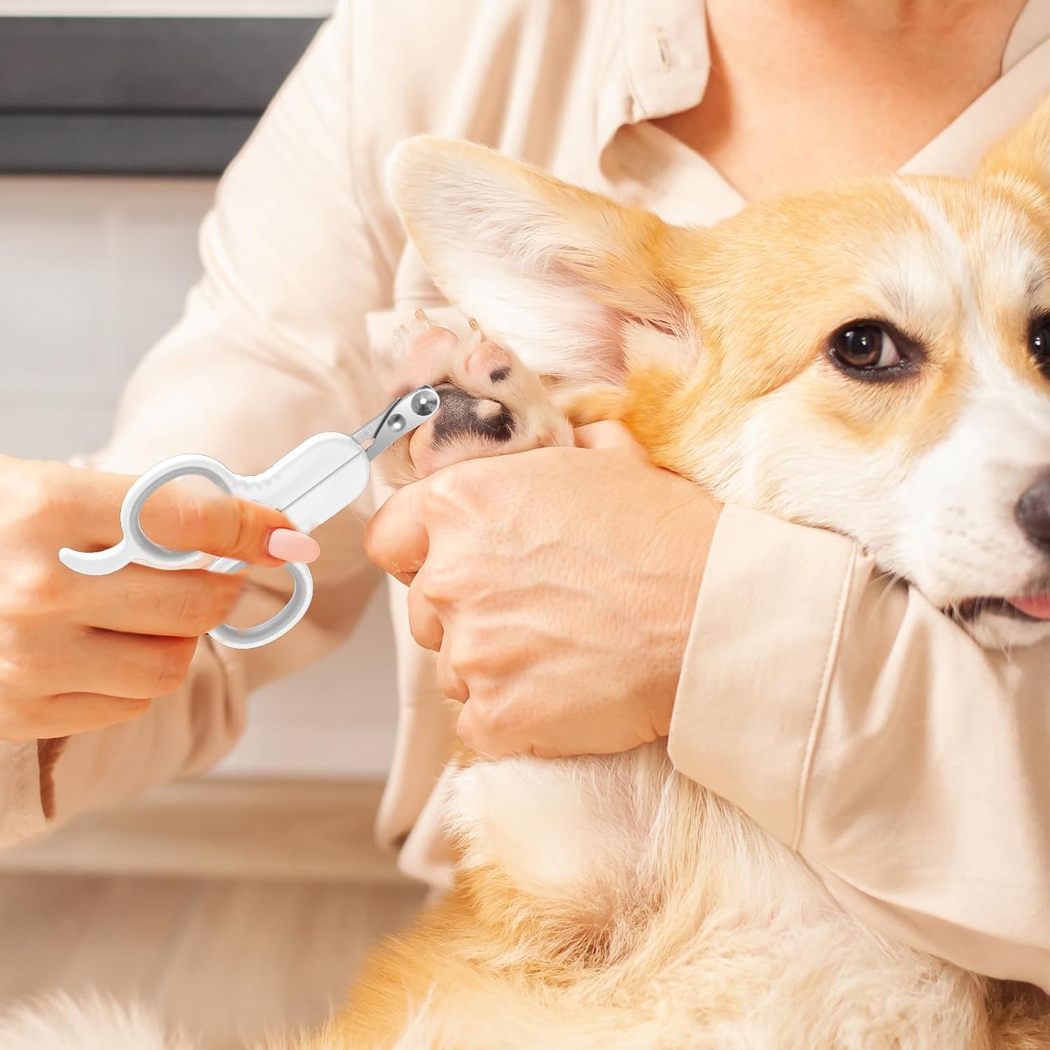 مقص اظافر للقطط من يوغولان، مقص اظافر للقطط من الستانلس ستيل امن للكلاب والجراء والارانب والحيوانات الصغيرة (ابيض)