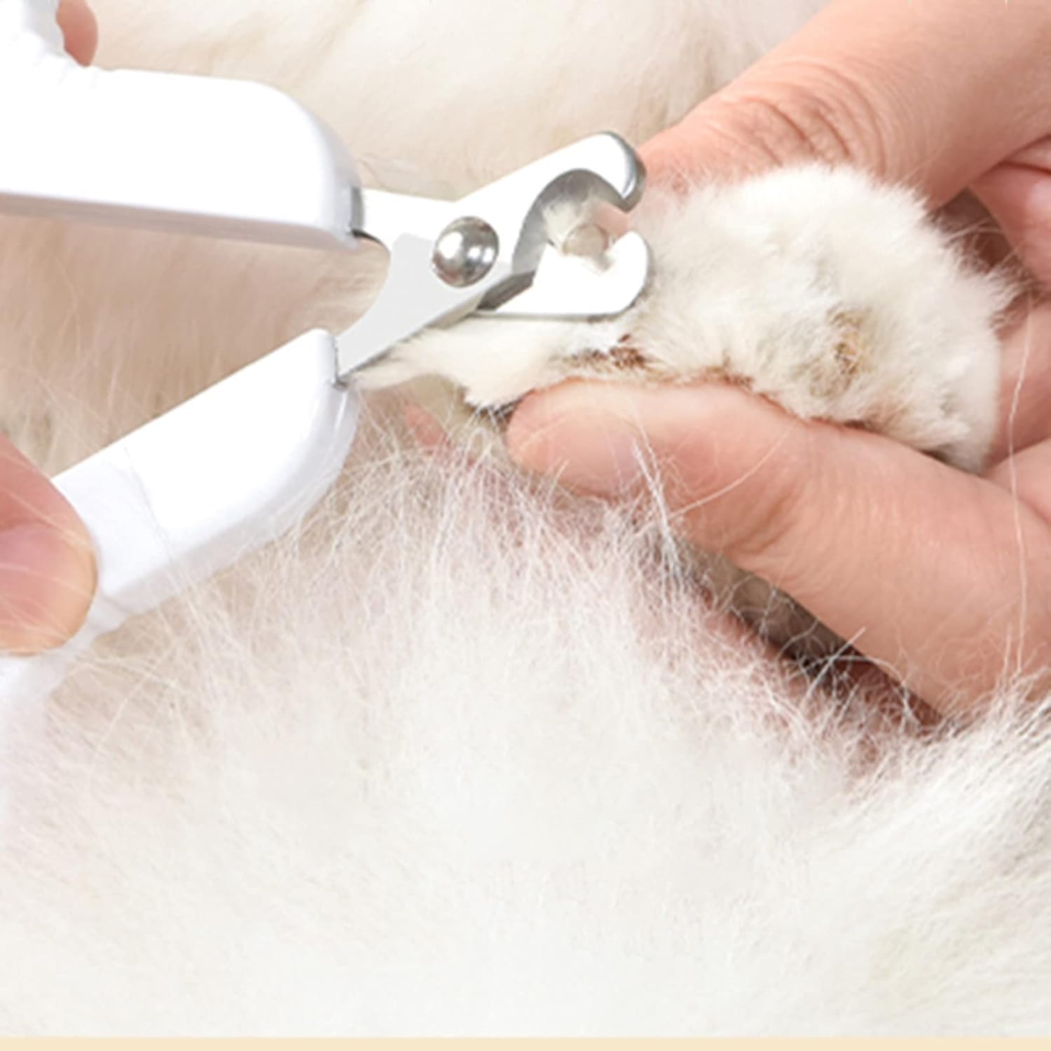 مقص اظافر للقطط من يوغولان، مقص اظافر للقطط من الستانلس ستيل امن للكلاب والجراء والارانب والحيوانات الصغيرة (ابيض)