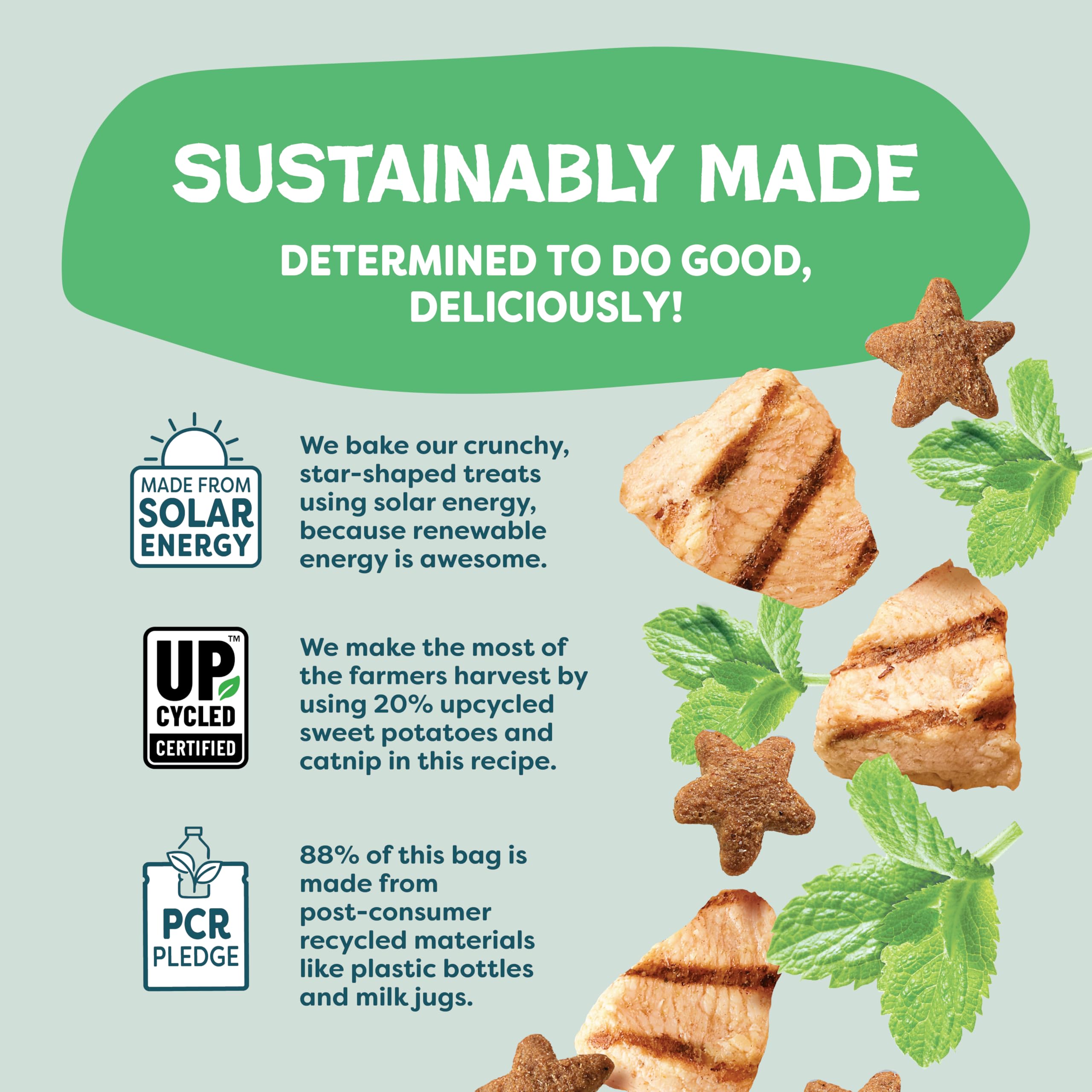 مكافآت للقطط المقرمشة للاحتفال بعيد الميلاد من شامليس بتس بالدجاج والنعناع البري مع دعم الجهاز الهضمي