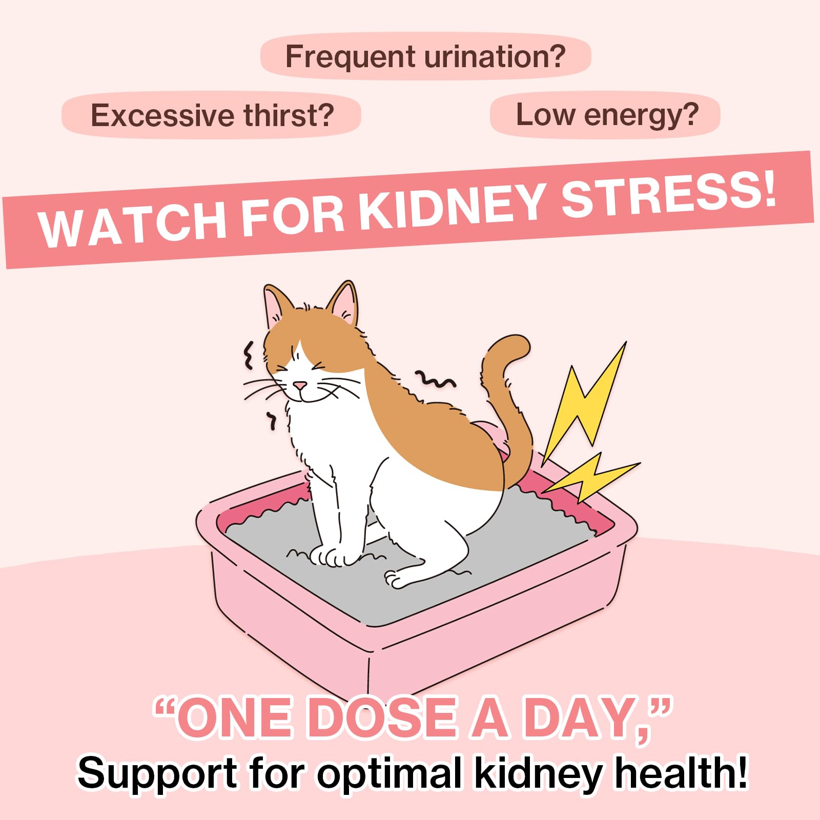 مكمل غذائي من دكتور باي يو تي كير كات يو تي اي لدعم الكلى والتوت البري لعلاج صحة الكلى للقطط مع الباكران والكيرسيتين وتورين بتركيبة قابلة للعق معبأة بشكل فردي (عبوة واحدة)