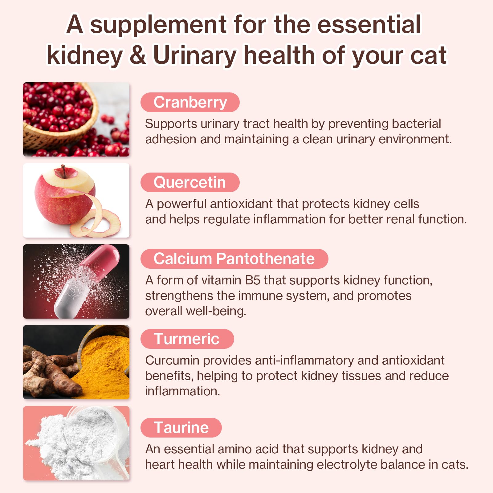 مكمل غذائي من دكتور باي يو تي كير كات يو تي اي لدعم الكلى والتوت البري لعلاج صحة الكلى للقطط مع الباكران والكيرسيتين وتورين بتركيبة قابلة للعق معبأة بشكل فردي (عبوة واحدة)