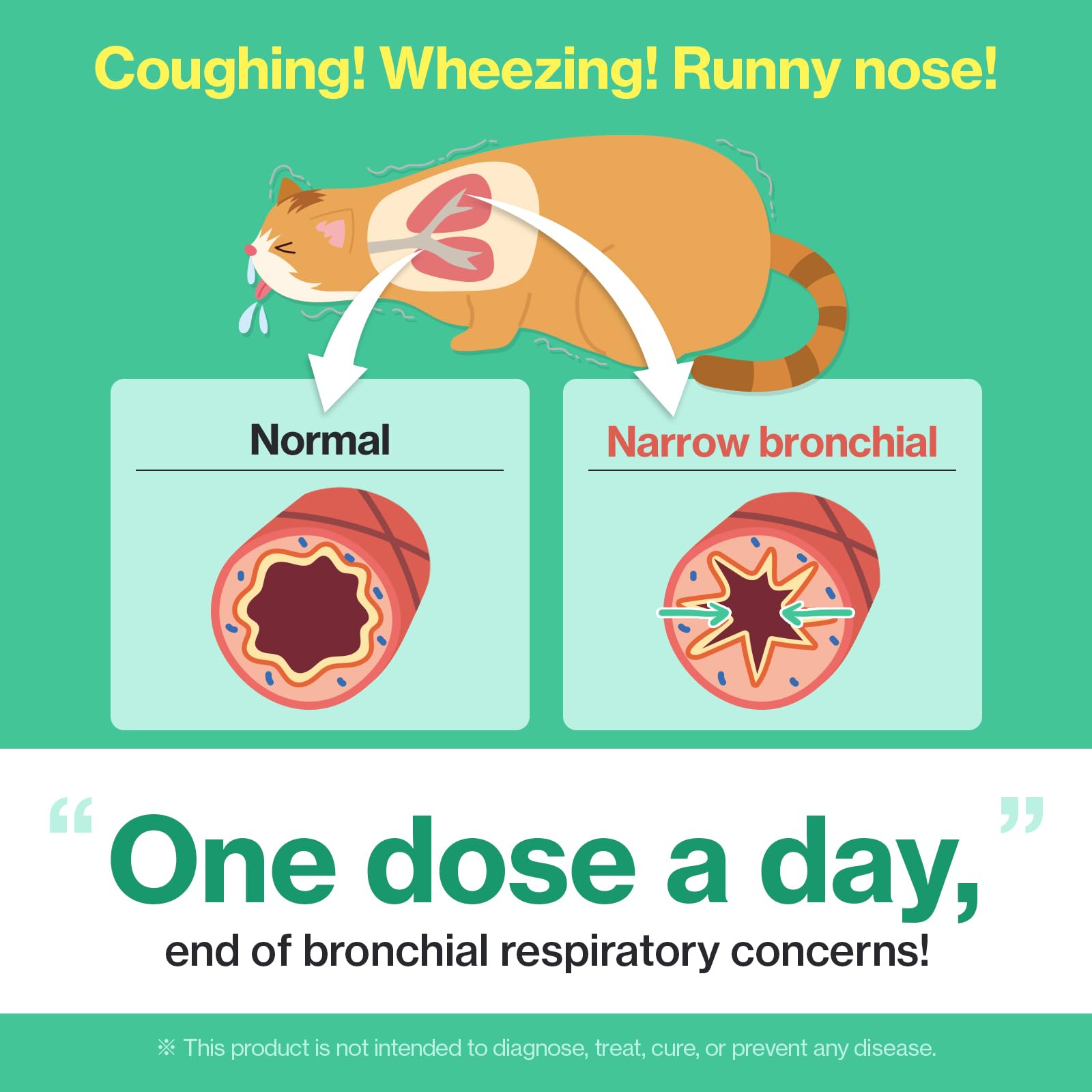 مكملات تنفس من دكتور باي كات بريث لعلاج العطس والربو والسعال البارد والانف ودعم الجهاز التنفسي والمناعة مع تركيبة قابلة للعق TF-343-30 معبأة بشكل فردي (عبوة واحدة، 30 قطعة)، دجاج