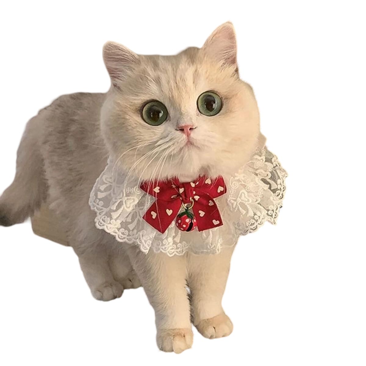 ملابس دانتيل رائعة للقطط مع فيونكة على شكل قلب أحمر للحيوانات الأليفة مصممة للقطط الأنيقة