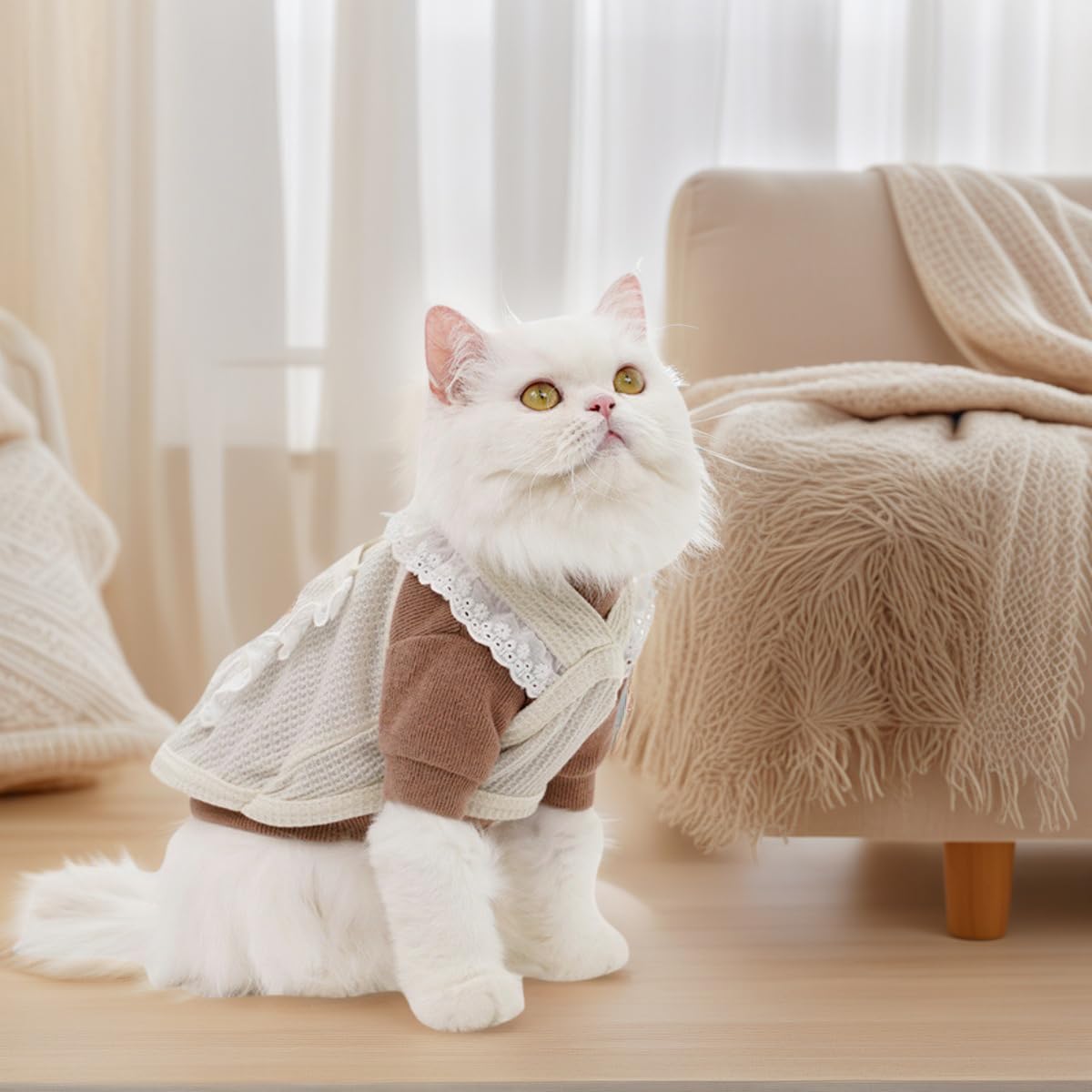 ملابس للكلاب والقطط والحيوانات الأليفة، سترة مكشكشة بدون أكمام، تي شيرت مطرز برسوم كرتونية للربيع والصيف، فساتين للجراء الصغيرة