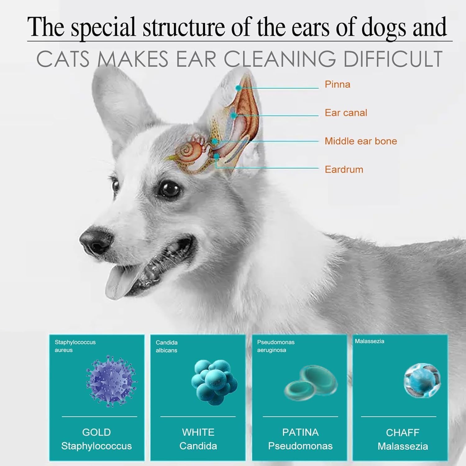 منظف اذن بوليفيا للكلاب والقطط، محلول طبيعي للاذن 20 مل لتخفيف الحكة والتحكم في الرائحة، منظف لطيف لاذن الحيوانات الاليفة لمنع العدوى وتراكم الشمع