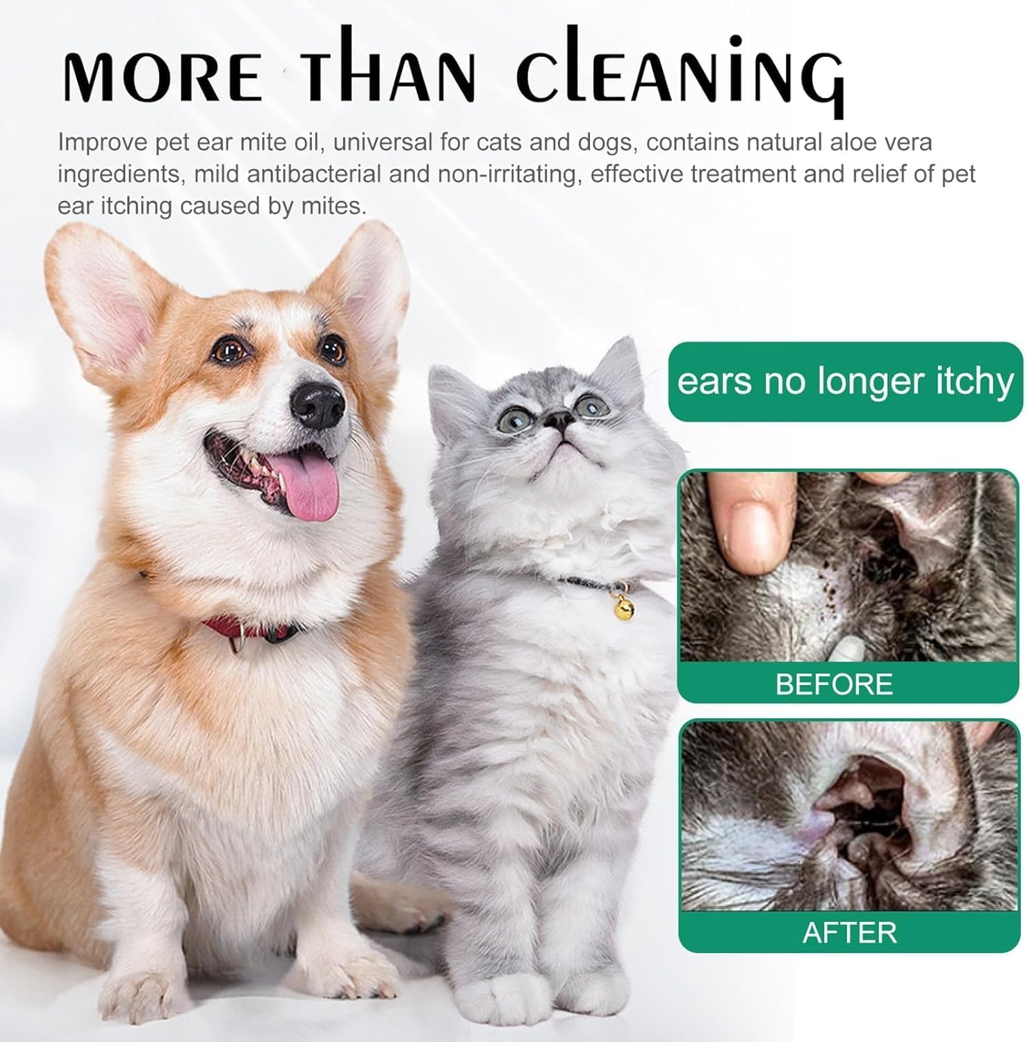 منظف اذن بوليفيا للكلاب والقطط، محلول طبيعي للاذن 20 مل لتخفيف الحكة والتحكم في الرائحة، منظف لطيف لاذن الحيوانات الاليفة لمنع العدوى وتراكم الشمع