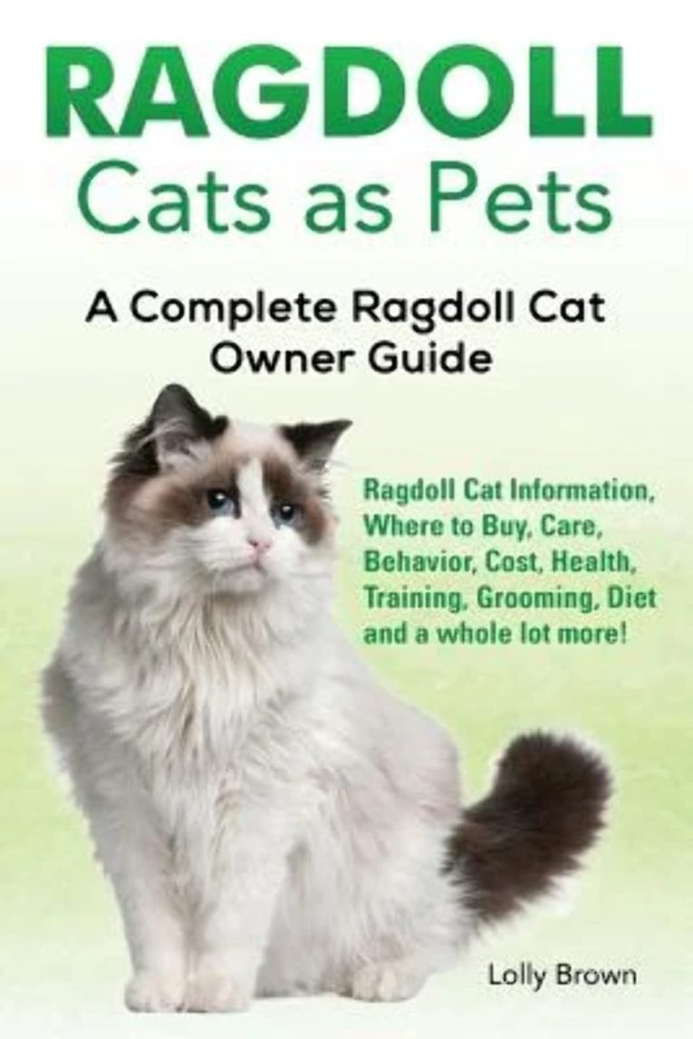 Ragdoll Cats as Pets: Ragdoll Cat Information, Where to Buy, Care, Behavior, Cost, Health, Training, Grooming, Diet and a whole lot more! A: Ragdoll ... lot more! A Complete Ragdoll Cat Owner Guide