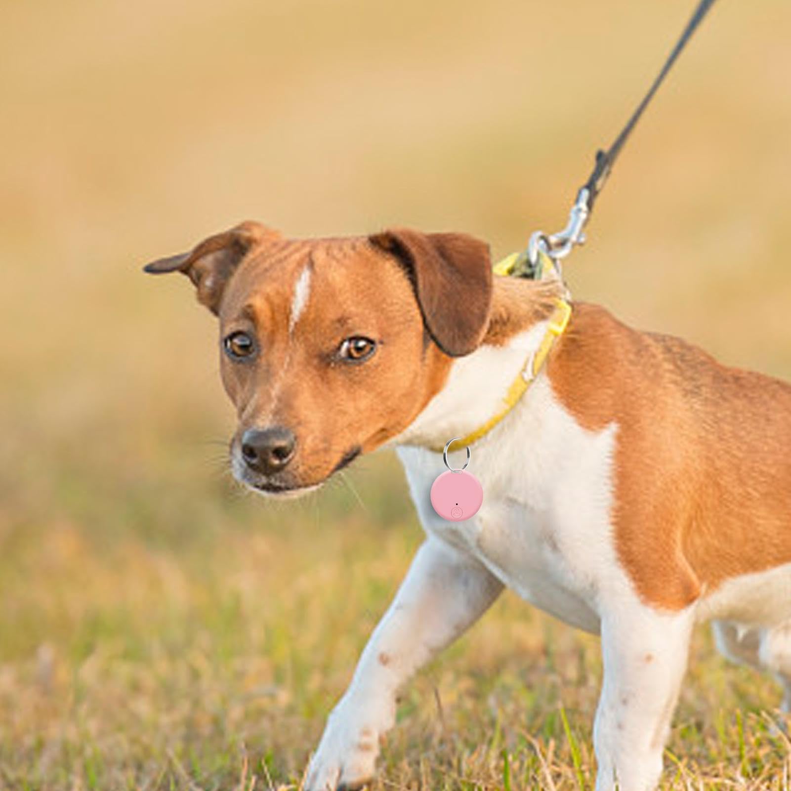 Round Bluetoo-th Anti-Lost Device, Portable Wireless Pet Anti-Lost Device, Two-way Alarm Reminder, Mobile Tracking Locator, for Find Your Dog Cat, Keys Wallet Item (White)