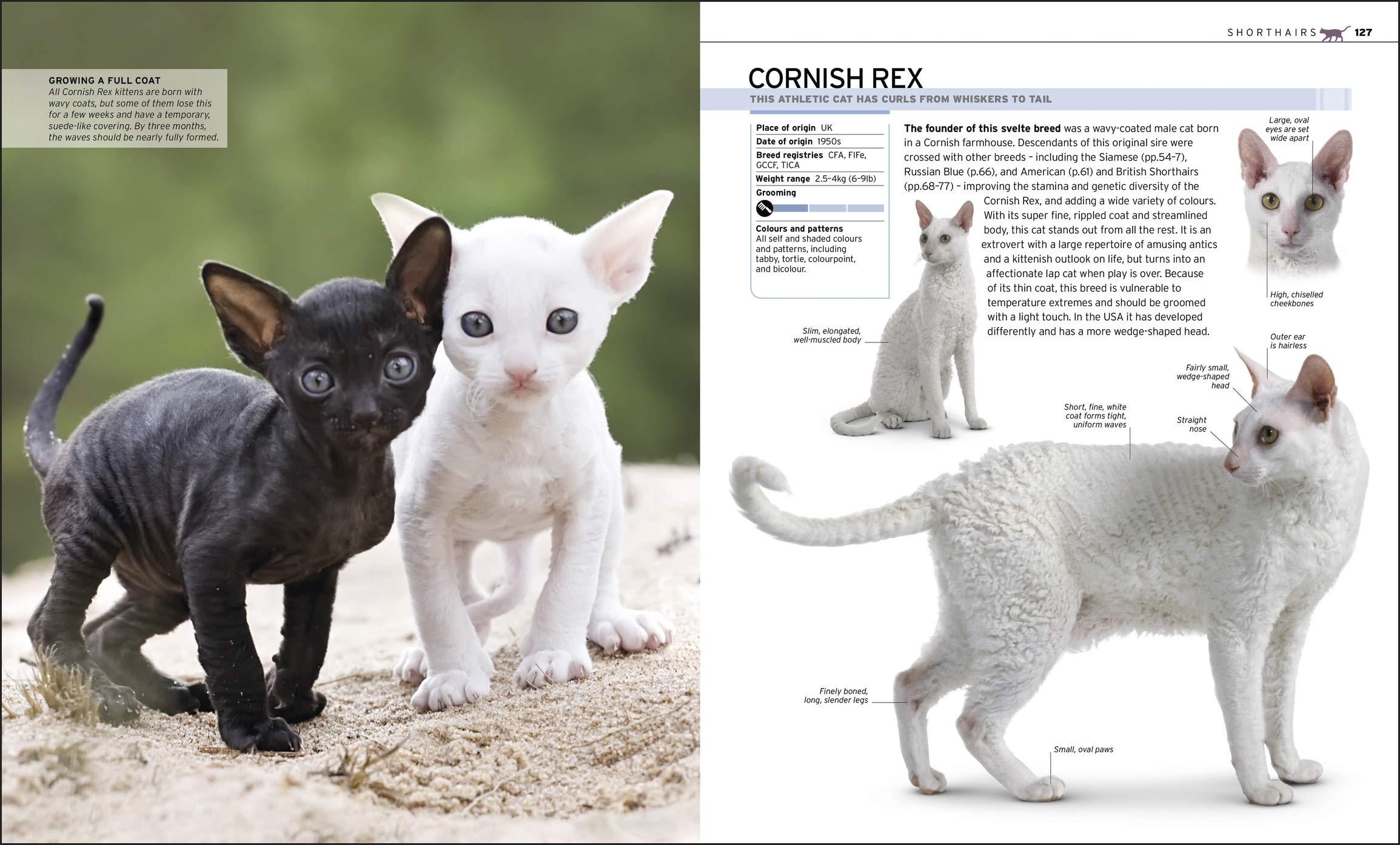 The Complete Cat Breed Book: Choose the Perfect Cat for You