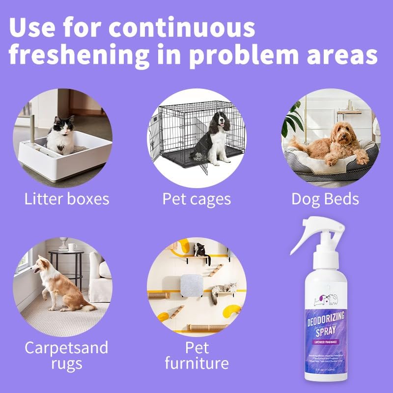 اف دي تي واي بخاخ مزيل العرق لبول الكلاب المنزلية، مزيل العرق لصندوق فضلات القطط، بخاخ مزيل لرائحة الحيوانات الاليفة، برائحة اللافندر، 150 مل، لصندوق فضلات القطط وبقع الحيوانات الاليفة