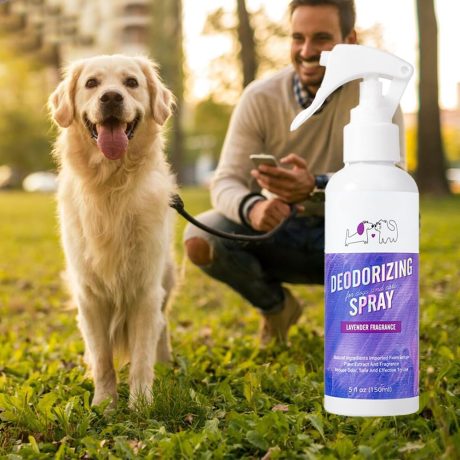 اف دي تي واي بخاخ مزيل العرق لبول الكلاب المنزلية، مزيل العرق لصندوق فضلات القطط، بخاخ مزيل لرائحة الحيوانات الاليفة، برائحة اللافندر، 150 مل، لصندوق فضلات القطط وبقع الحيوانات الاليفة