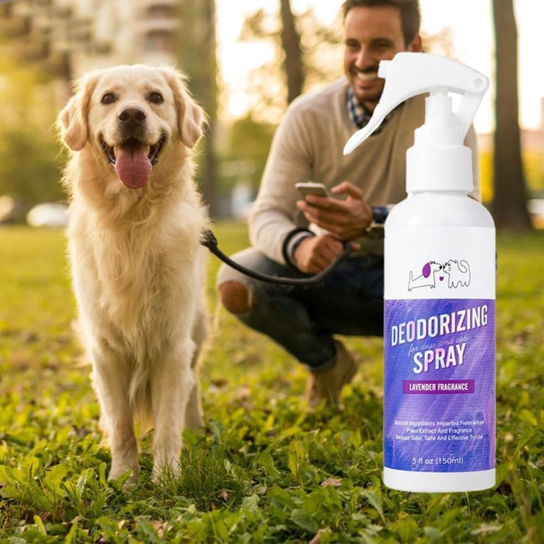 اف دي تي واي بخاخ مزيل العرق لبول الكلاب المنزلية، مزيل العرق لصندوق فضلات القطط، بخاخ مزيل لرائحة الحيوانات الاليفة، برائحة اللافندر، 150 مل، لصندوق فضلات القطط وبقع الحيوانات الاليفة