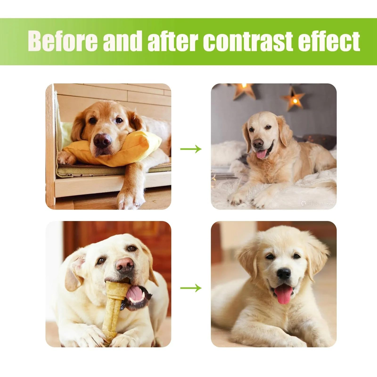 بخاخ لطرد القطط 50 مل، بخاخ لتحديد منطقة محظورة للحيوانات الأليفة، يمنع القطط والكلاب من التبول والتغوط في كل مكان