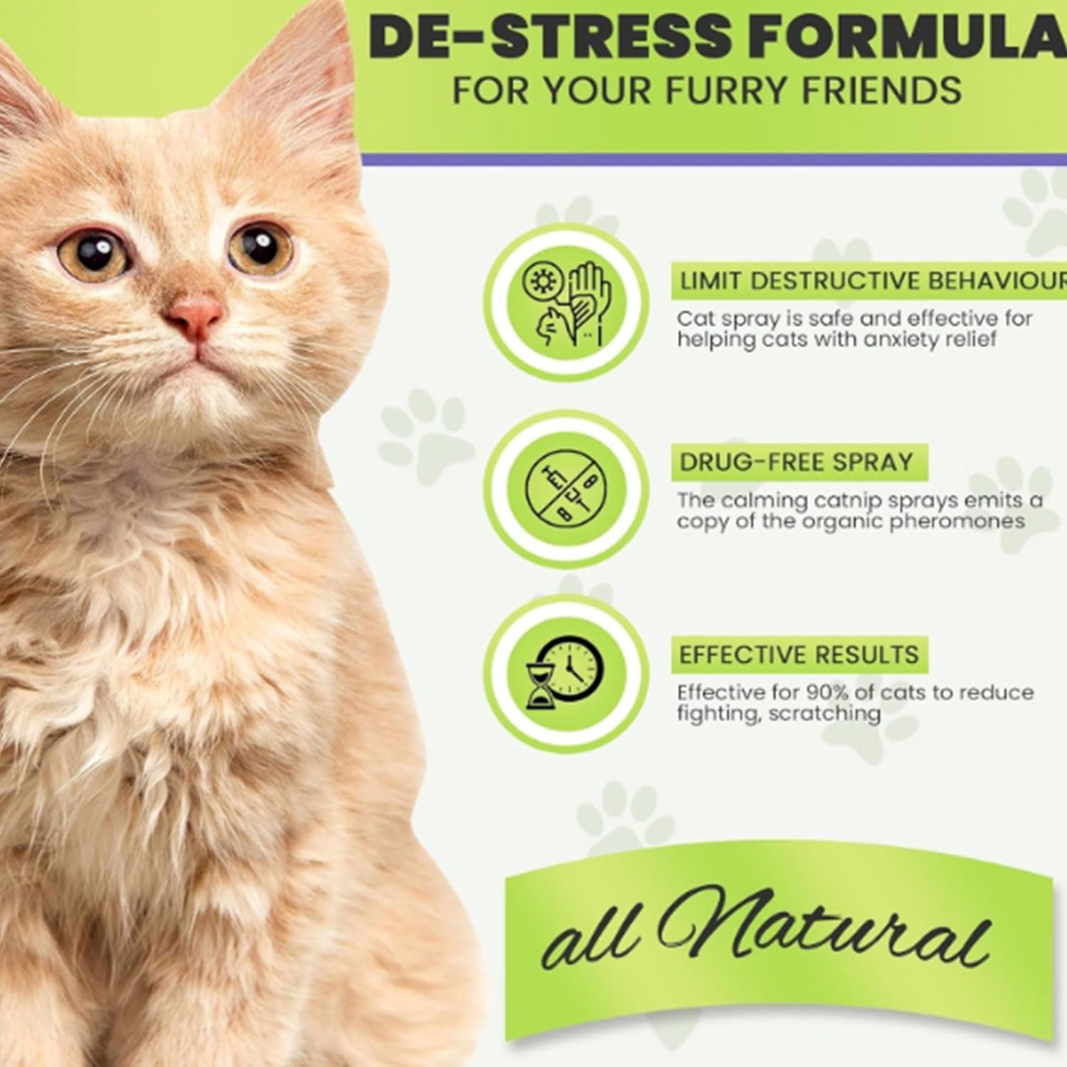 بخاخ مهدئ للقطط غني بالفيرومونات للتحكم في الخدش، للمساعدة على تقليل توتر القطط وقلقها والحد من علامات التبول والخدش التخريبي لإضفاء بيئة مريحة غير منوّم وآمن للقطط والقطط الصغيرة، سعة 60 مل