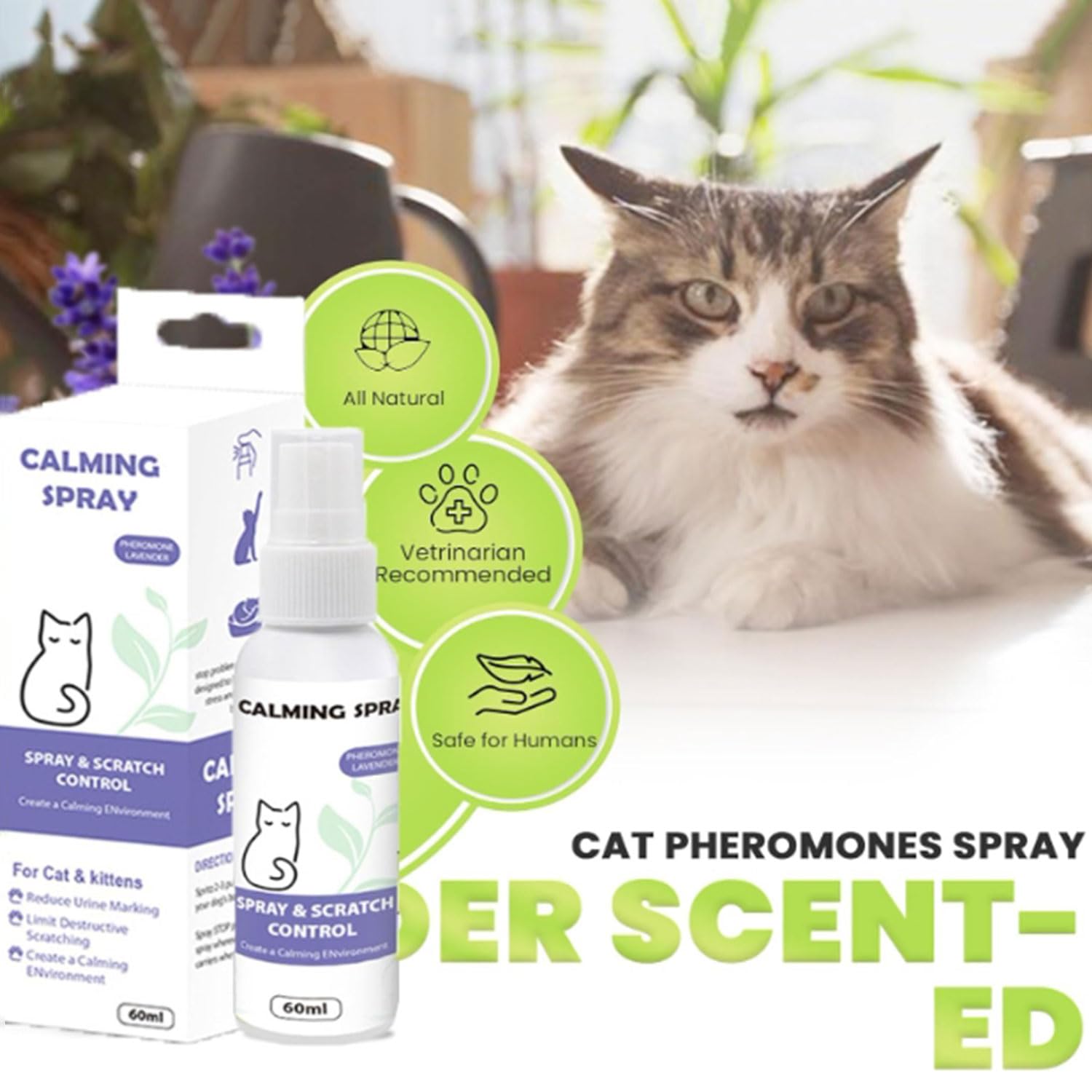بخاخ مهدئ للقطط غني بالفيرومونات للتحكم في الخدش، للمساعدة على تقليل توتر القطط وقلقها والحد من علامات التبول والخدش التخريبي لإضفاء بيئة مريحة غير منوّم وآمن للقطط والقطط الصغيرة، سعة 60 مل