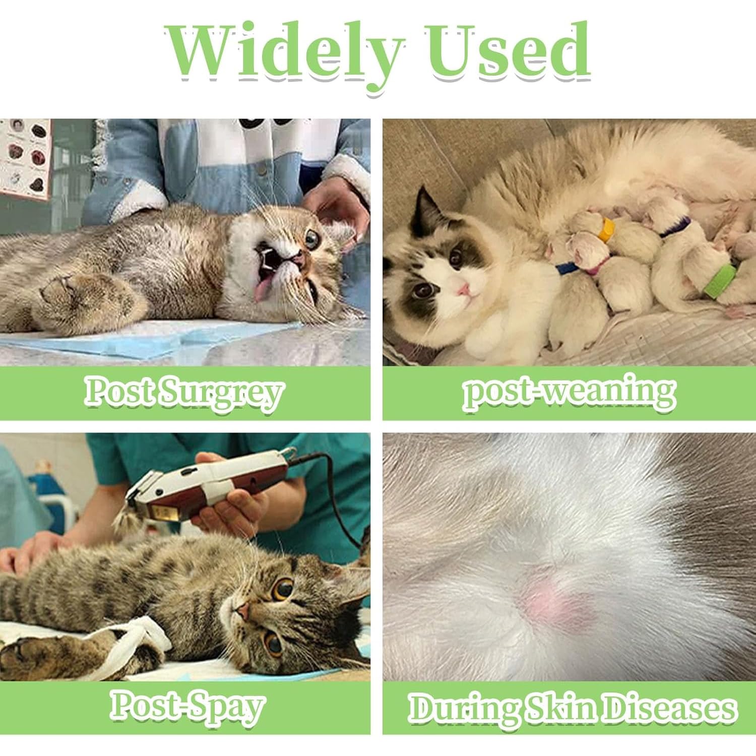 بدلة التعافي من الجراحة للقطط، ملابس قطط للشفاء من الجراحة جيدة التهوية، تستخدم على بدلة احترافية جيدة التهوية للقطط والكلاب بعد الفطام وجروح البطن من لينجي (ميديوم M)